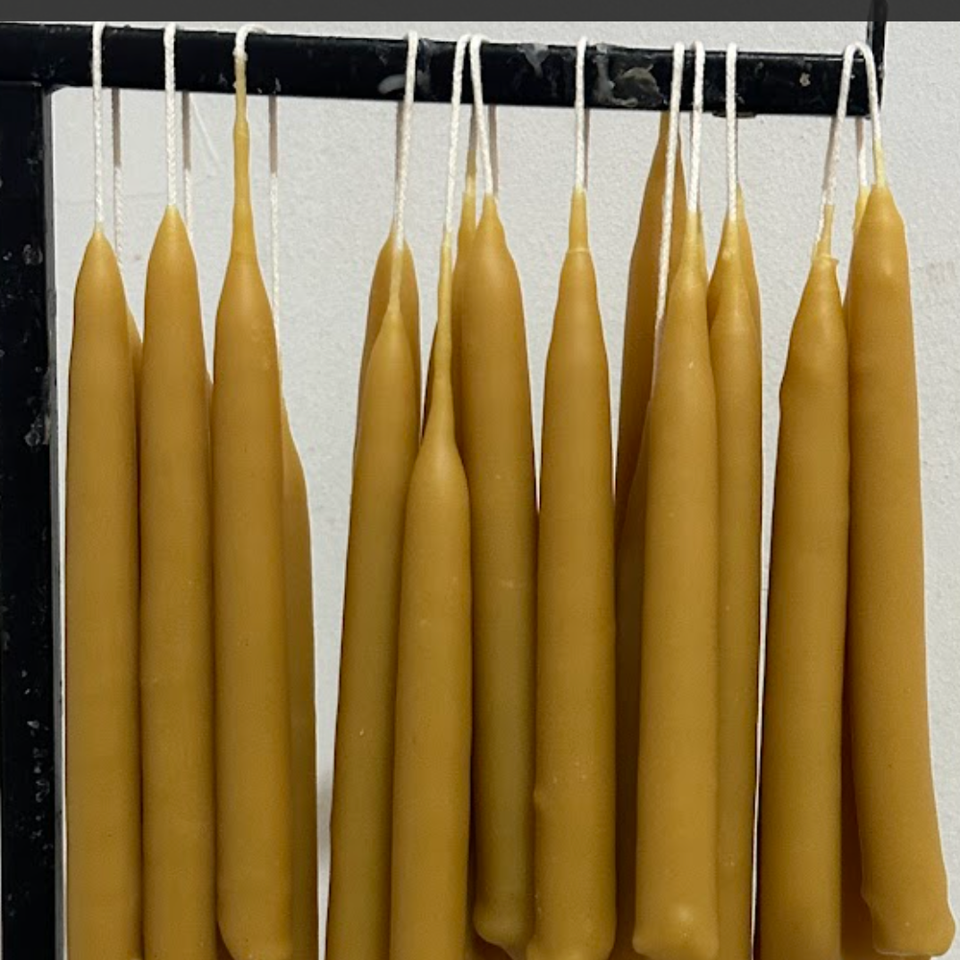 A decorative image from Usal Project