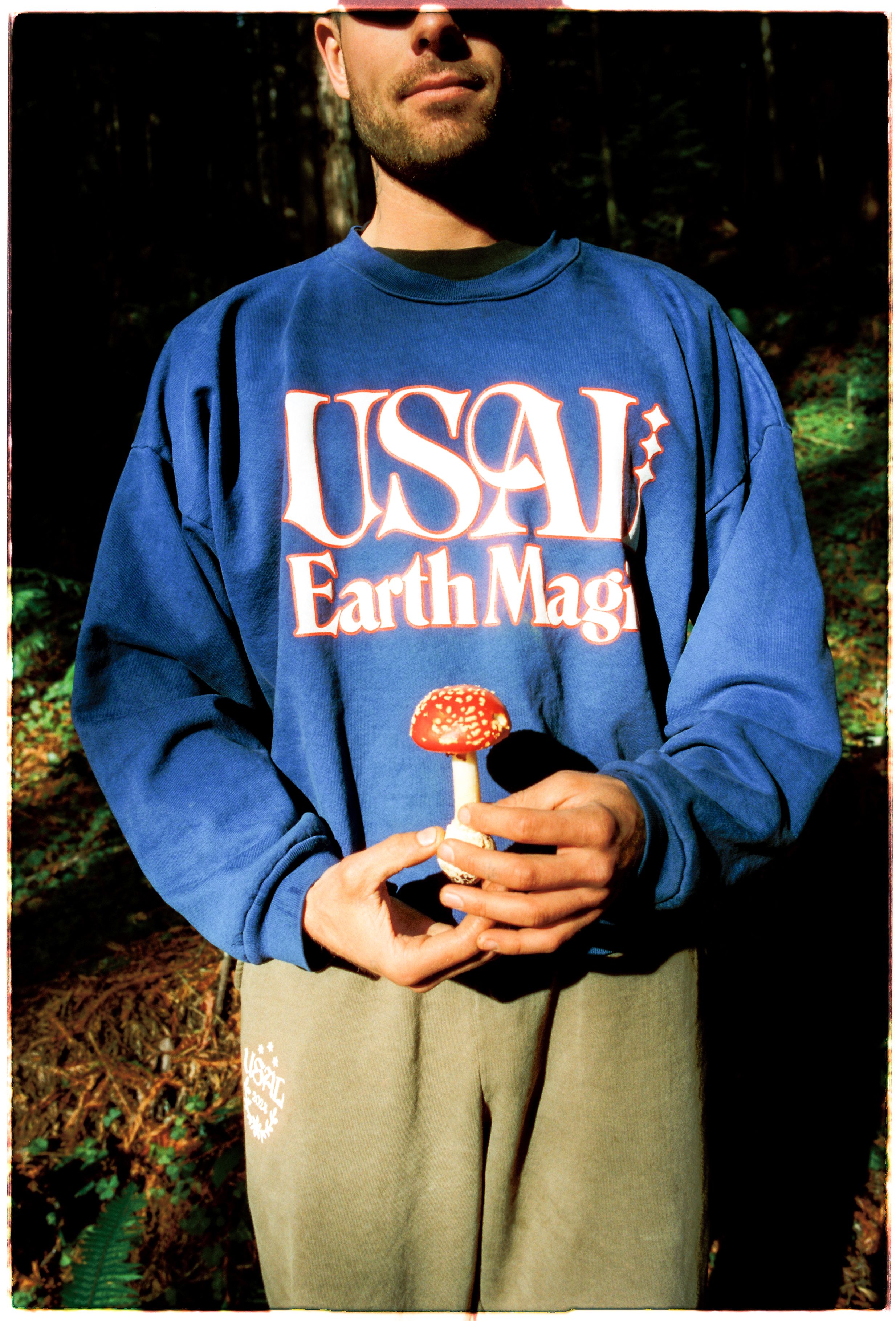 A decorative image from Usal Project