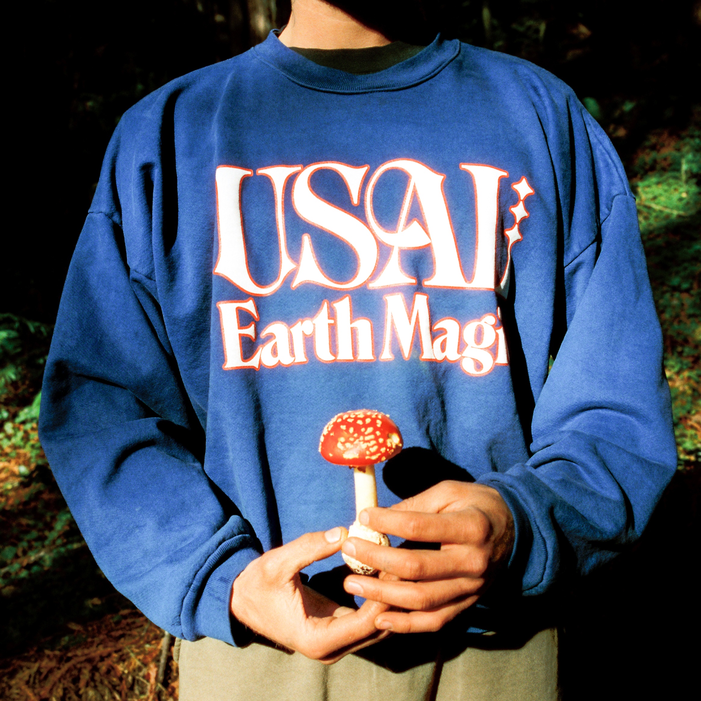 A decorative image from Usal Project