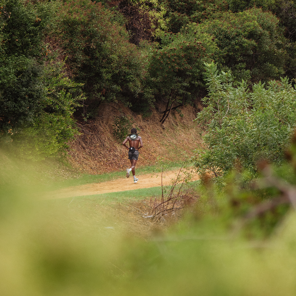 A decorative image from Usal Project