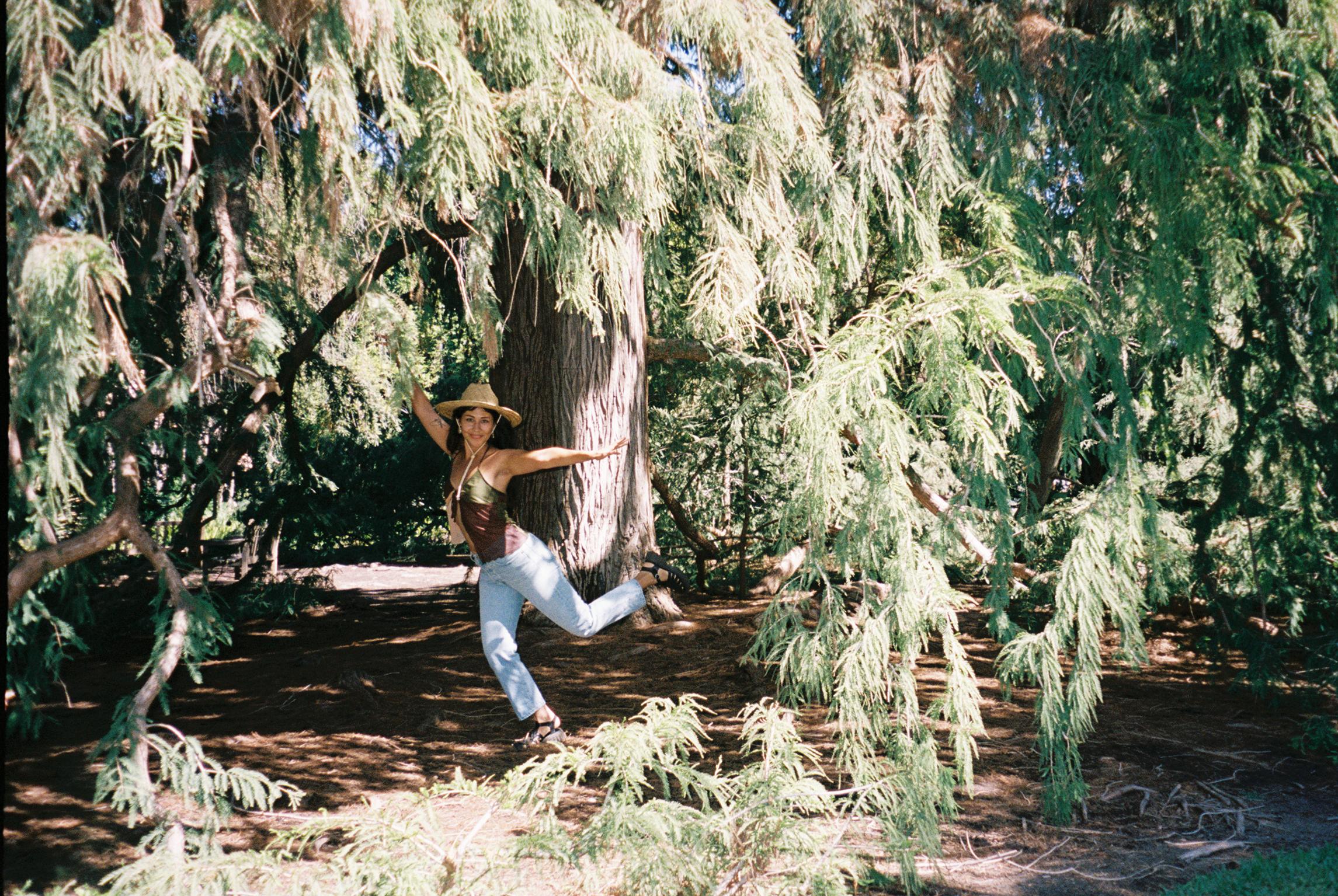 A decorative image from Usal Project