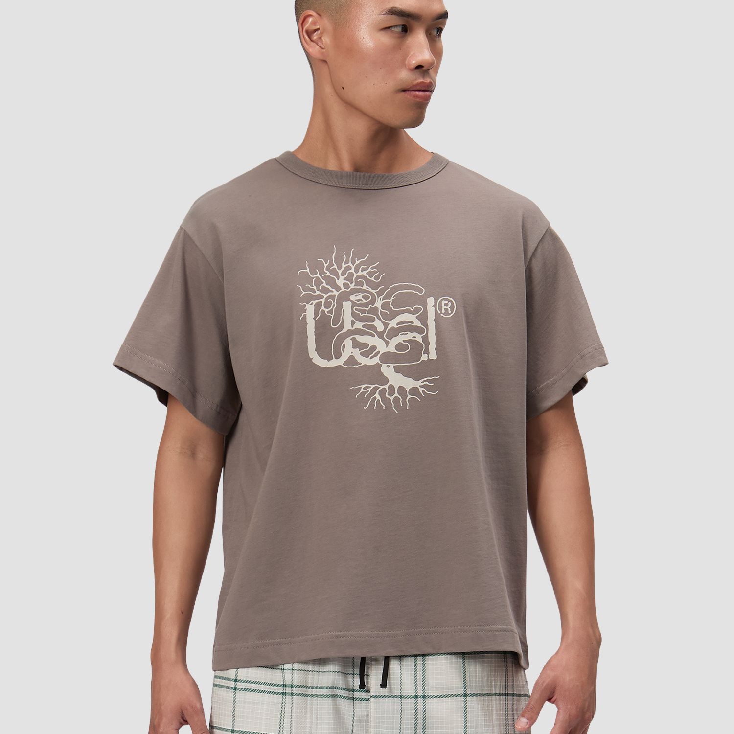 A decorative image from Usal Project