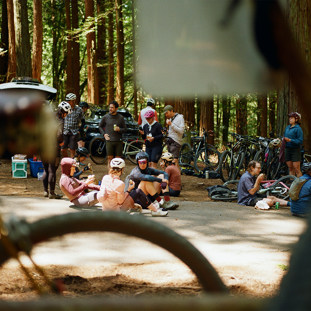 A decorative image from Usal Project