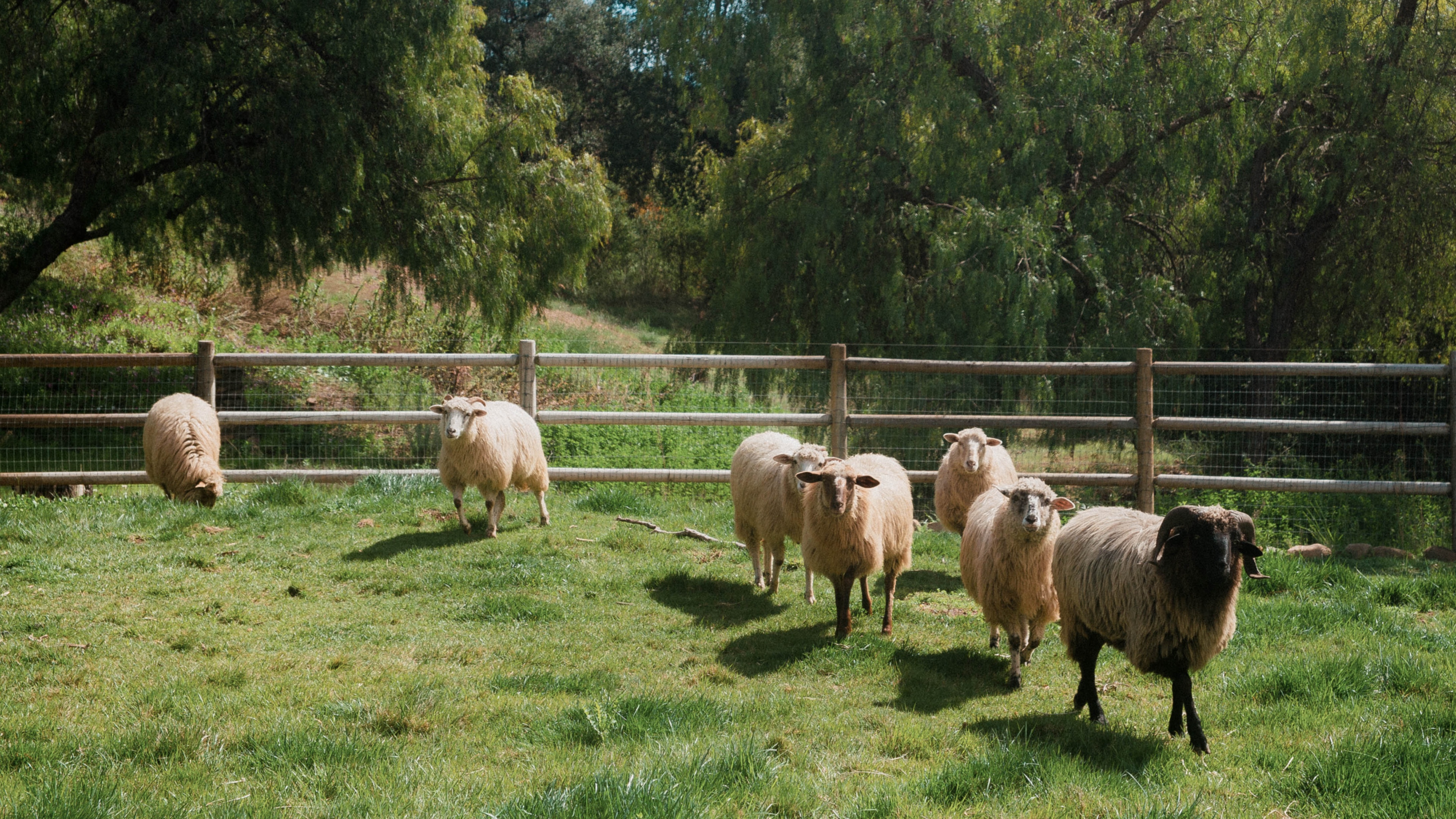 Hero Poster - A decorative image from Usal Project