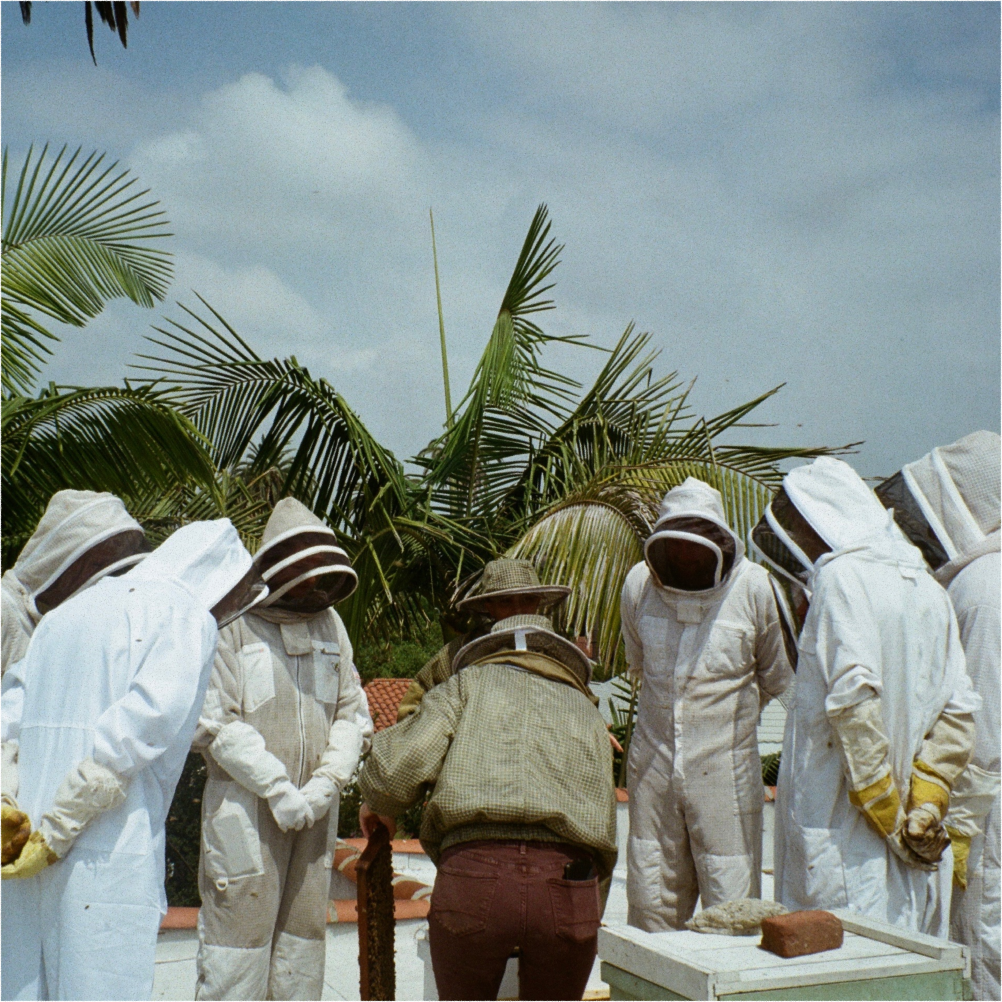 A decorative image from Usal Project