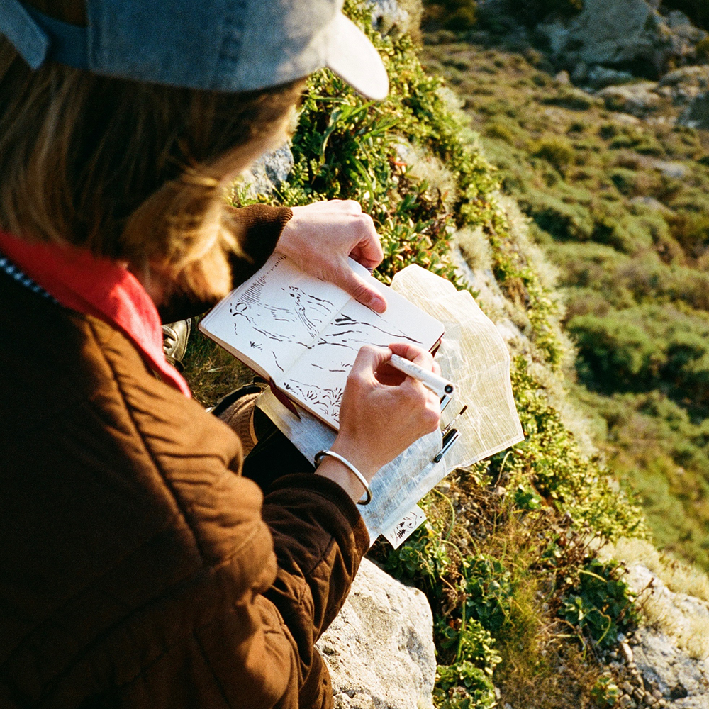 A decorative image from Usal Project