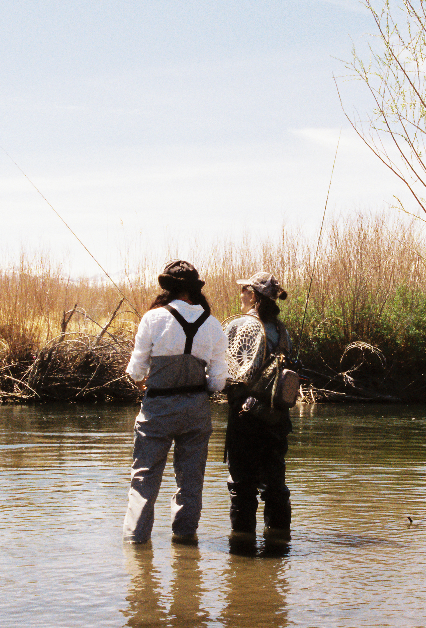 A decorative image from Usal Project