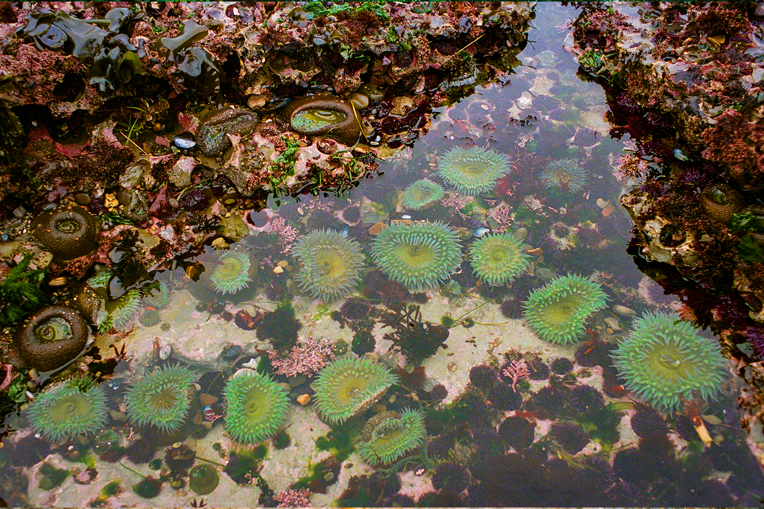 A decorative image from Usal Project