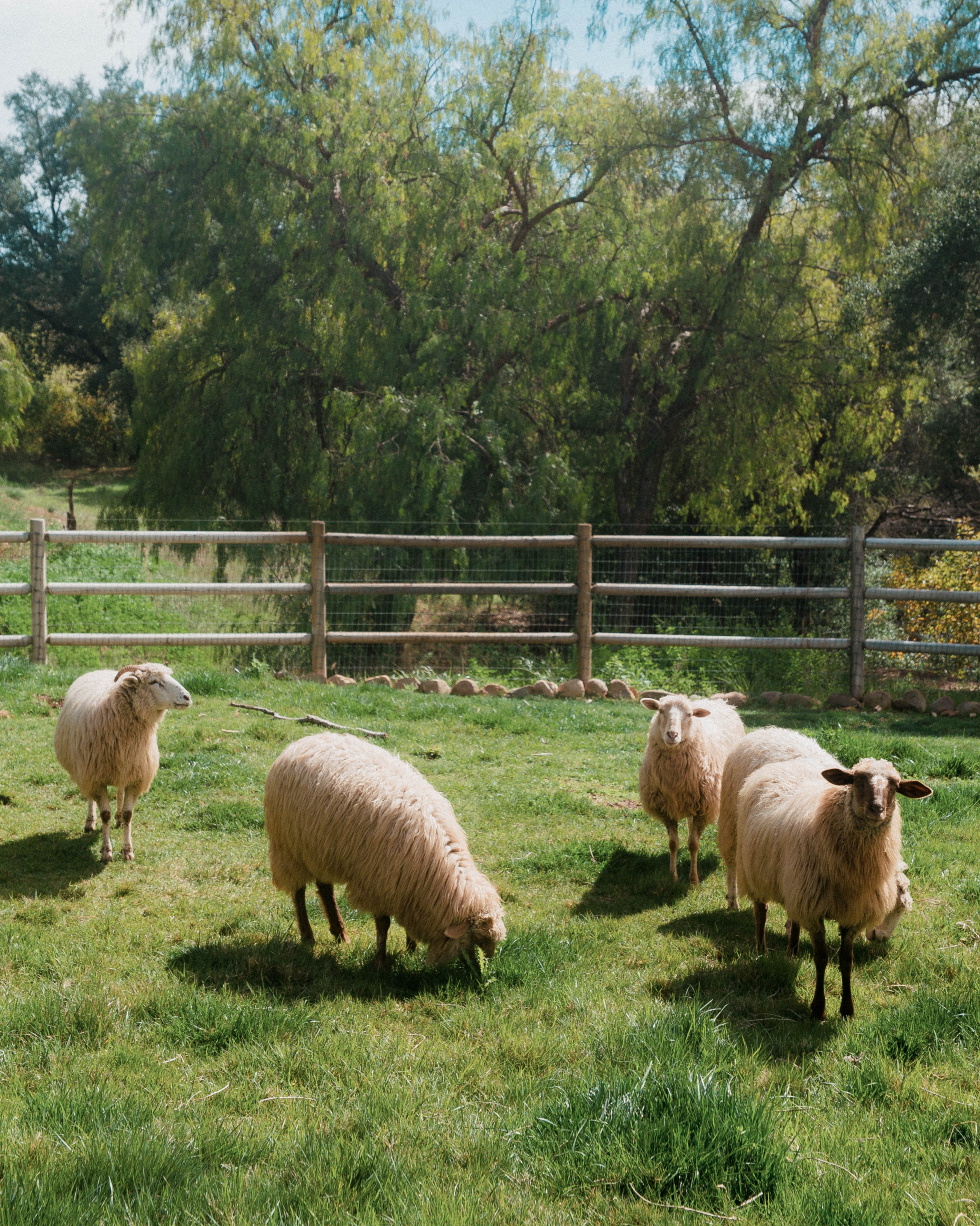 A decorative image from Usal Project