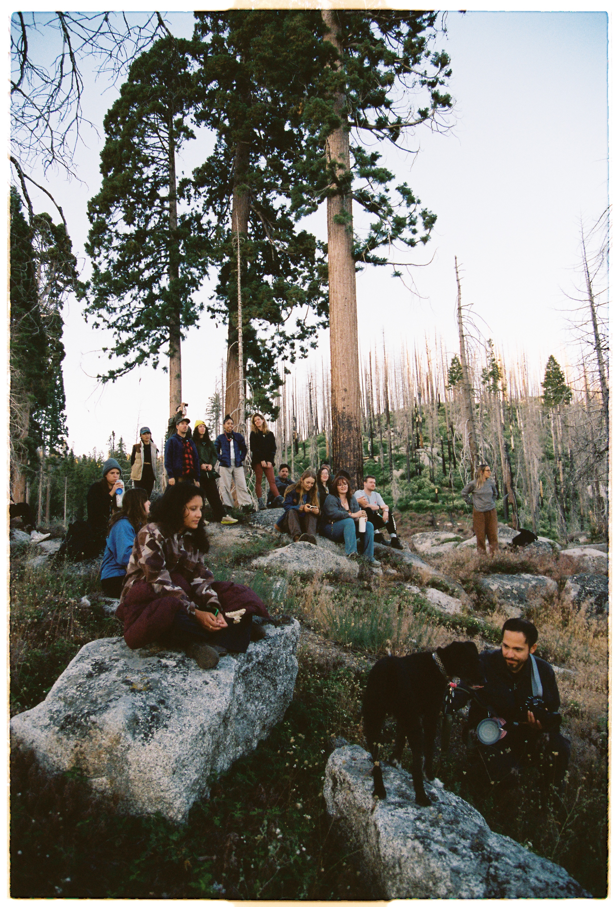 A decorative image from Usal Project