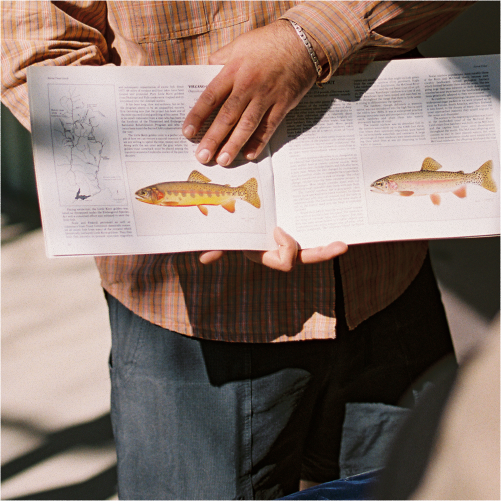 A decorative image from Usal Project