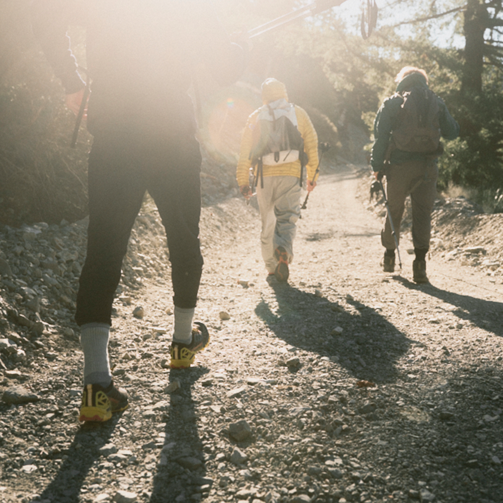 A decorative image from Usal Project