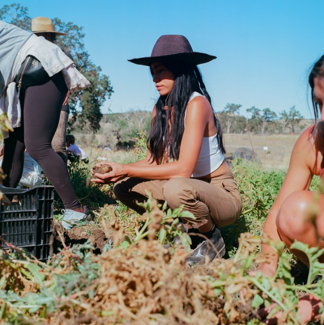 A decorative image from Usal Project