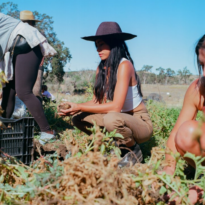 A decorative image from Usal Project