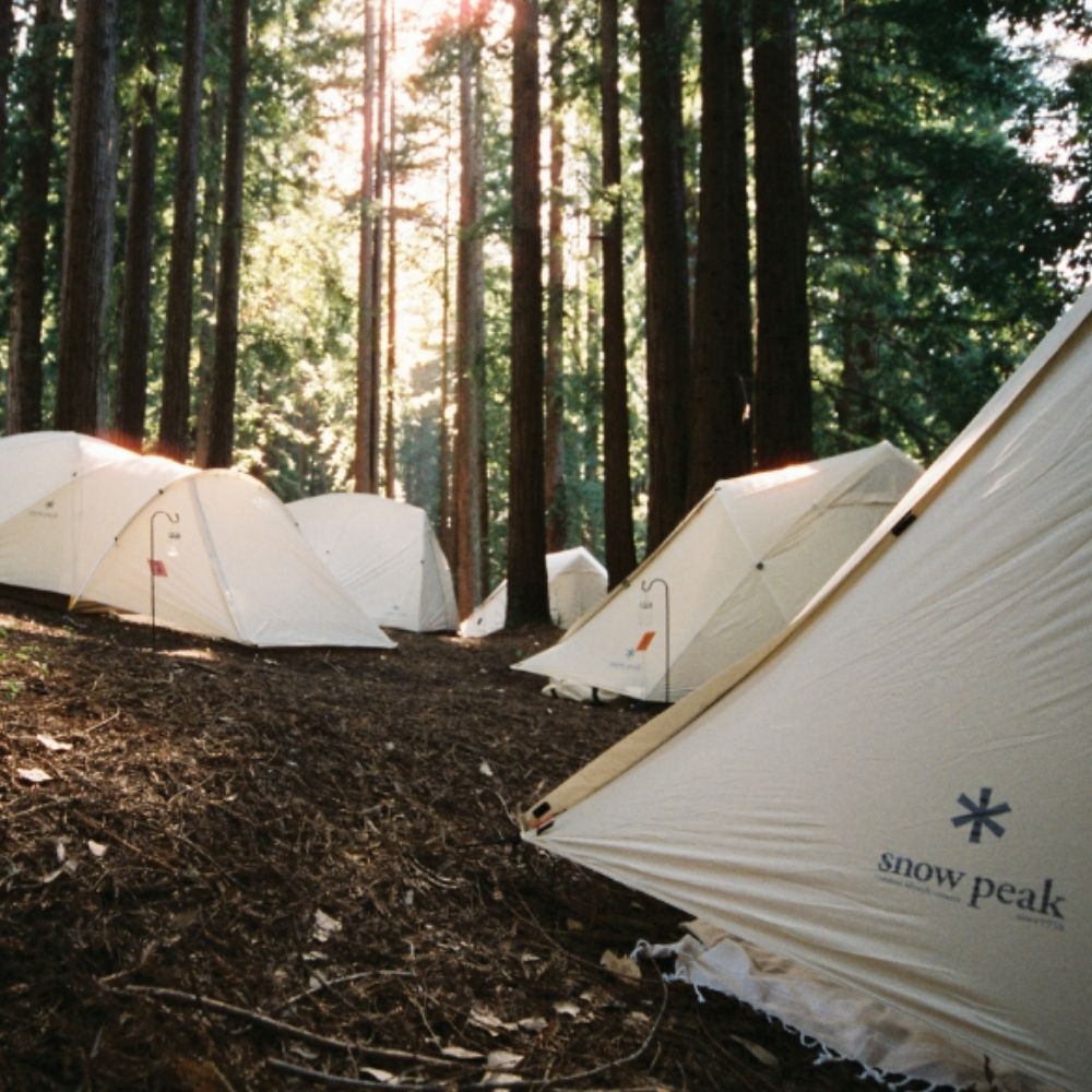 A decorative image from Usal Project