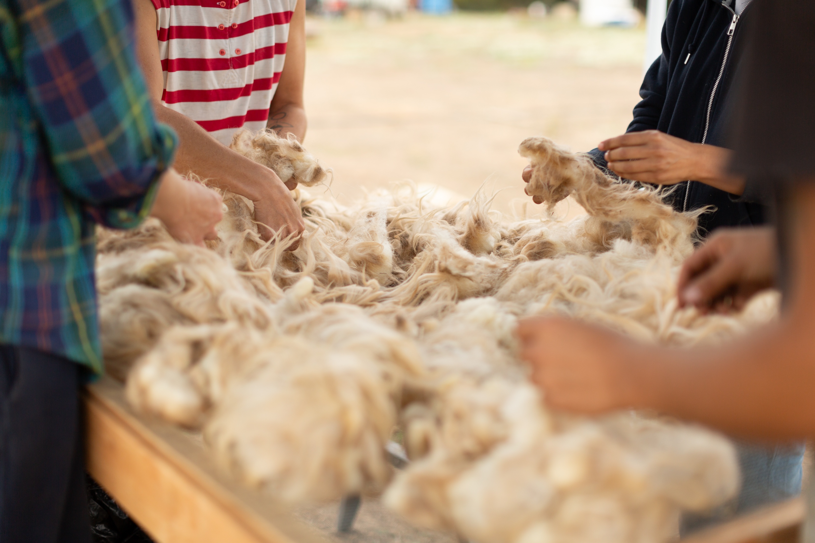 A decorative image from Usal Project