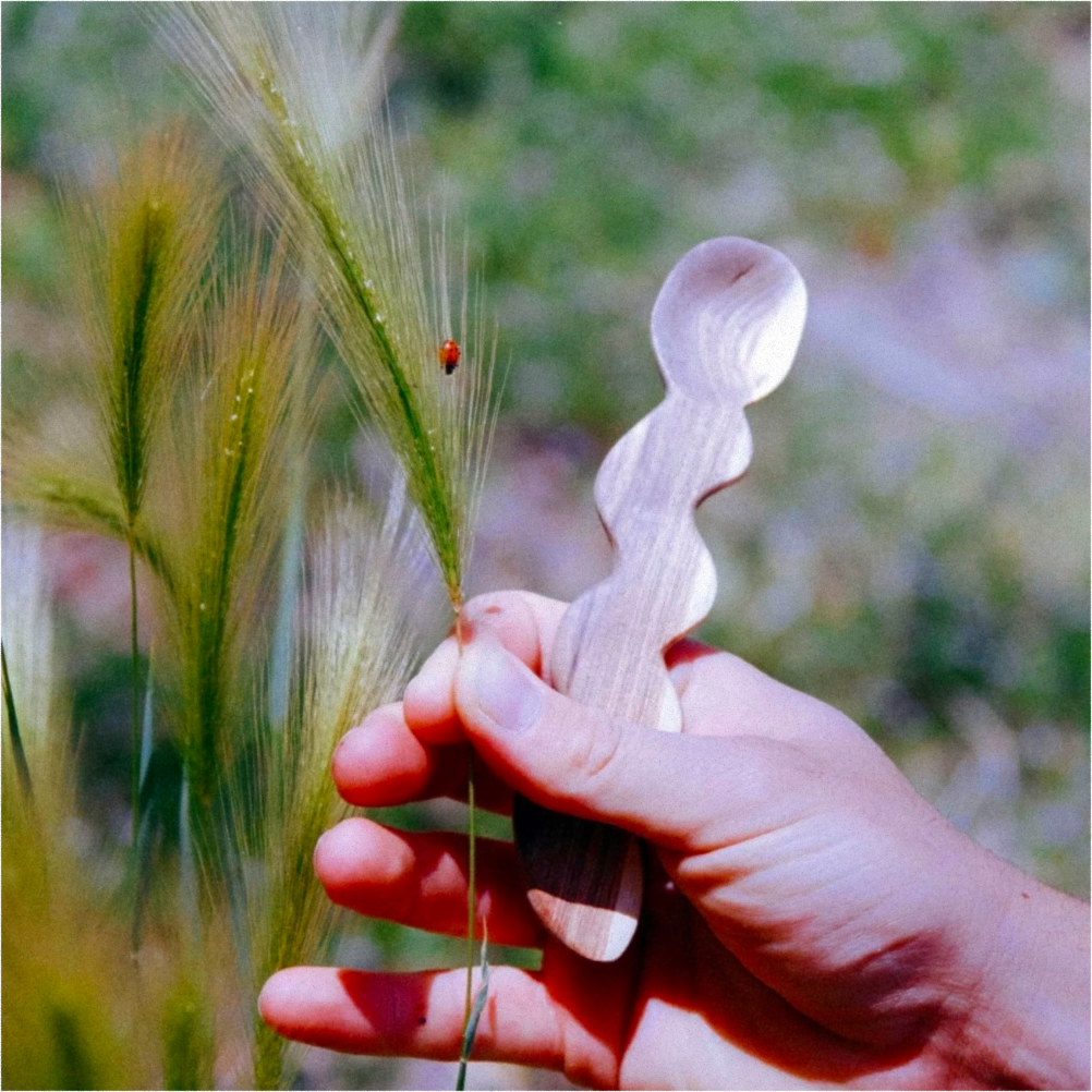 A decorative image from Usal Project