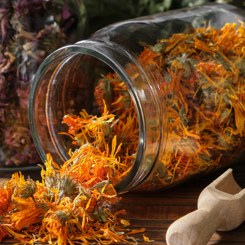 A decorative image from Usal Project