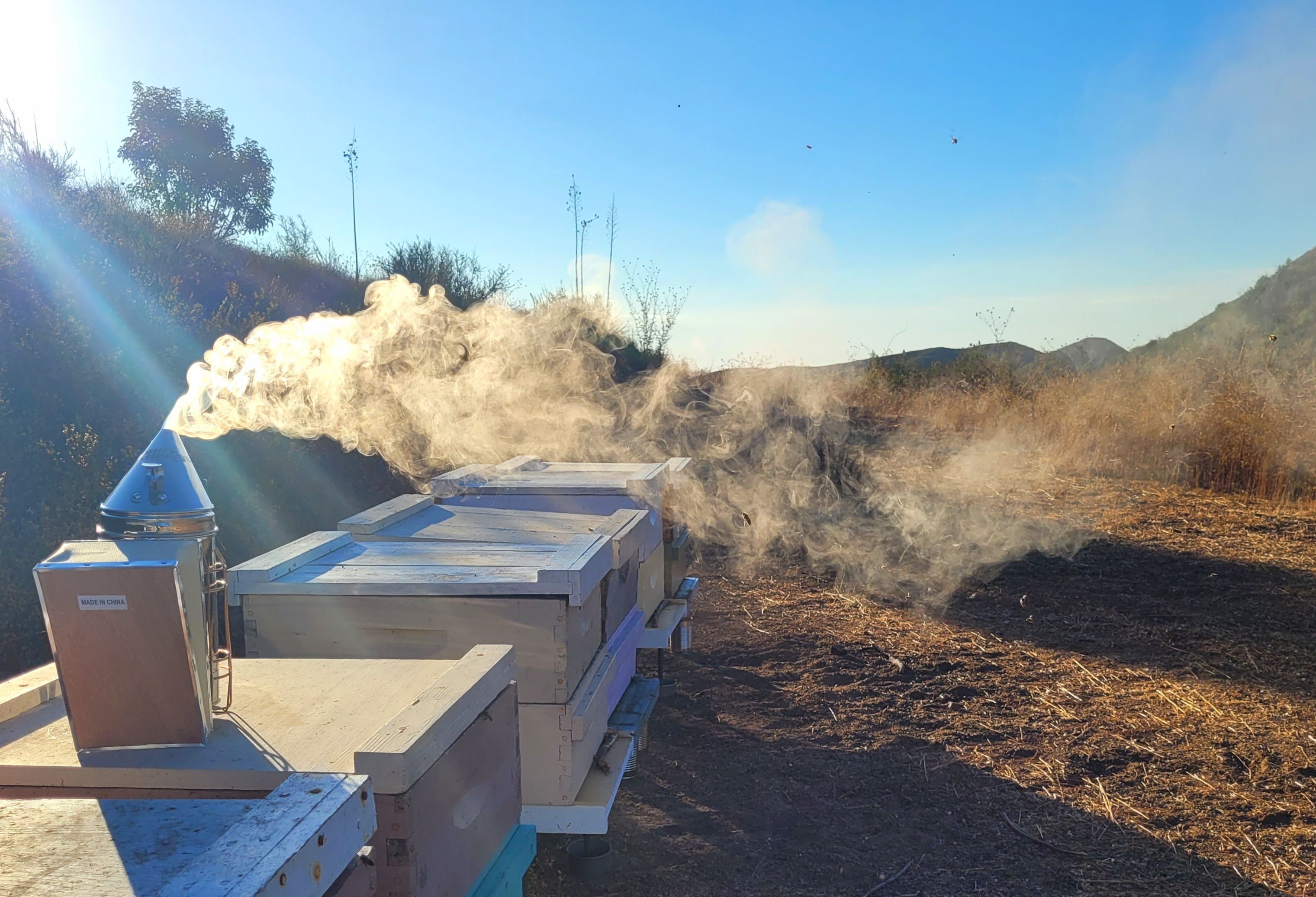 A decorative image from Usal Project