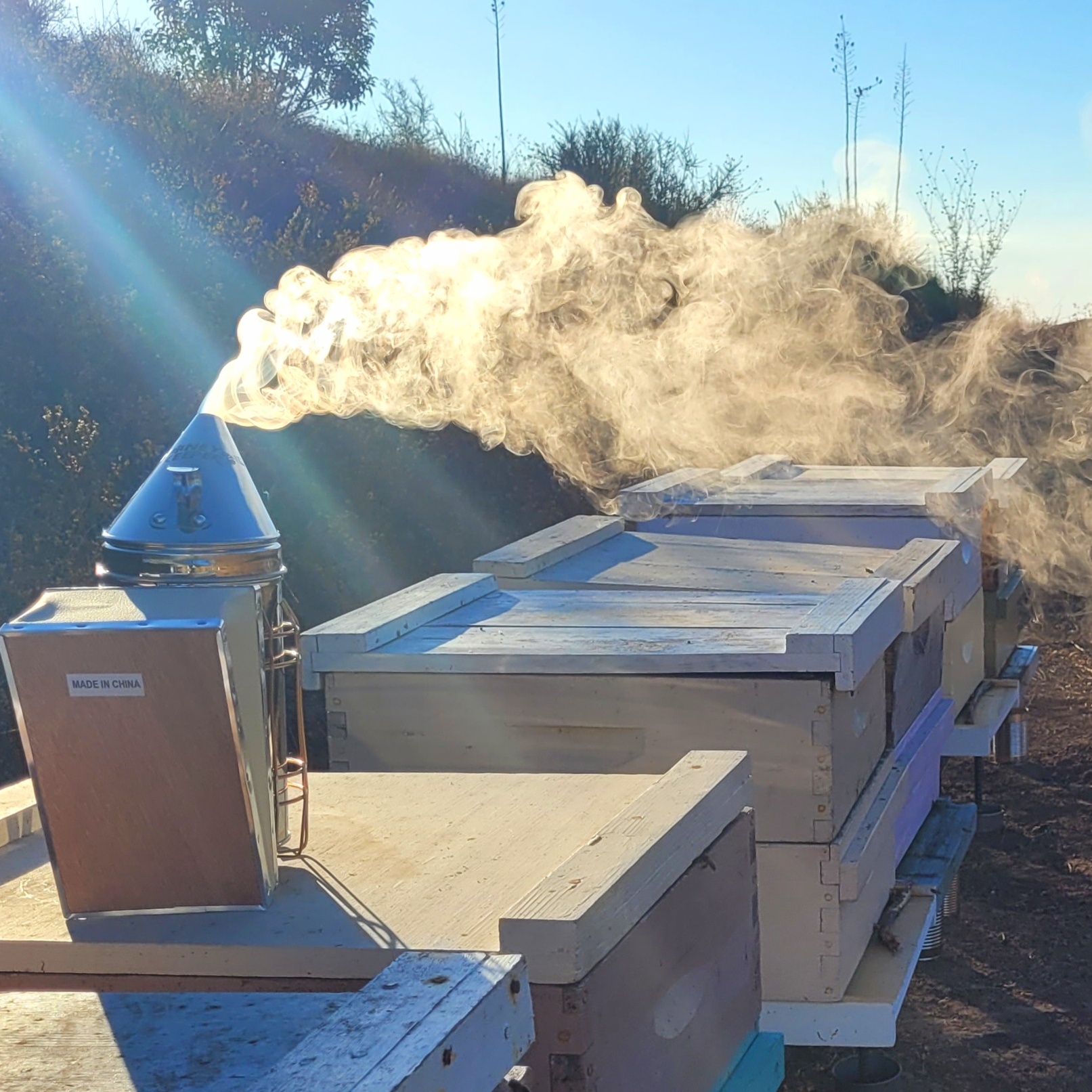 A decorative image from Usal Project