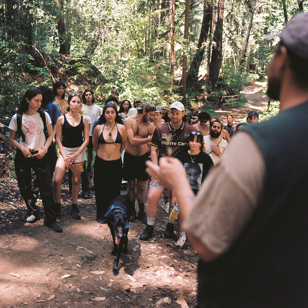 A decorative image from Usal Project