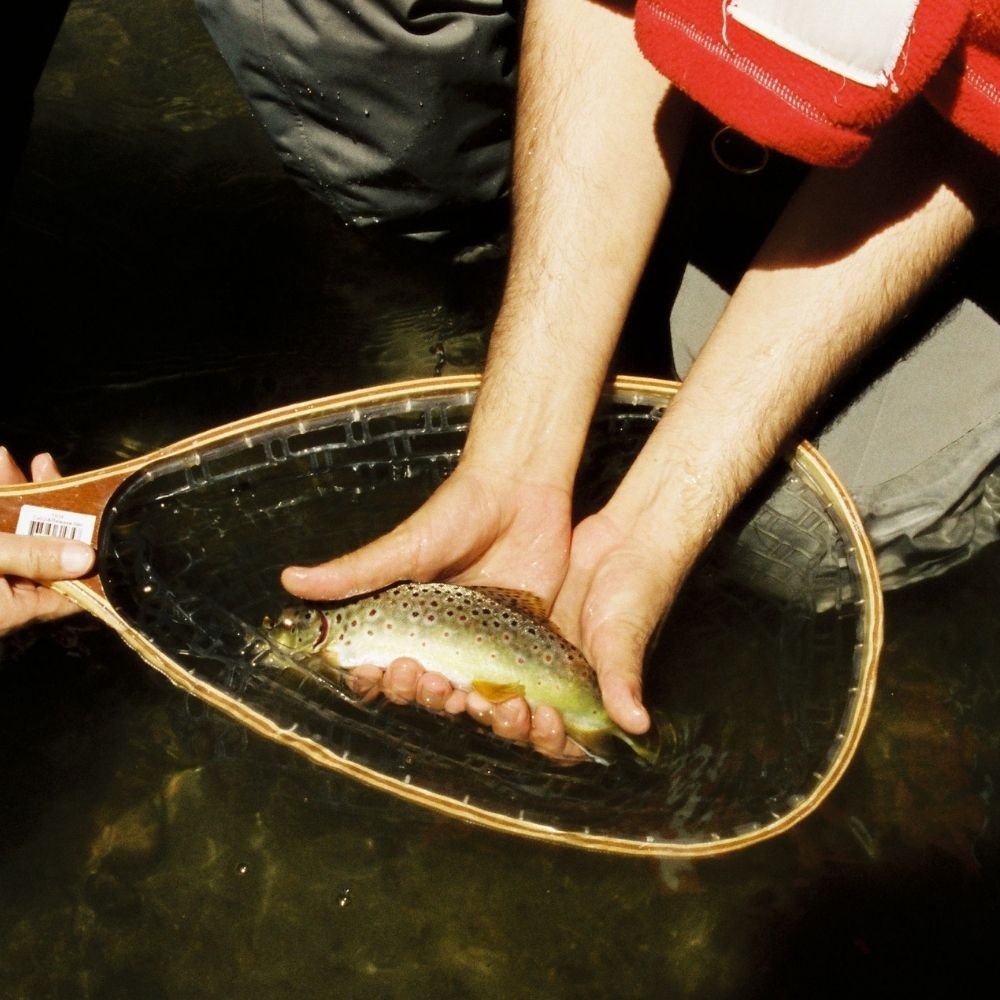 A decorative image from Usal Project