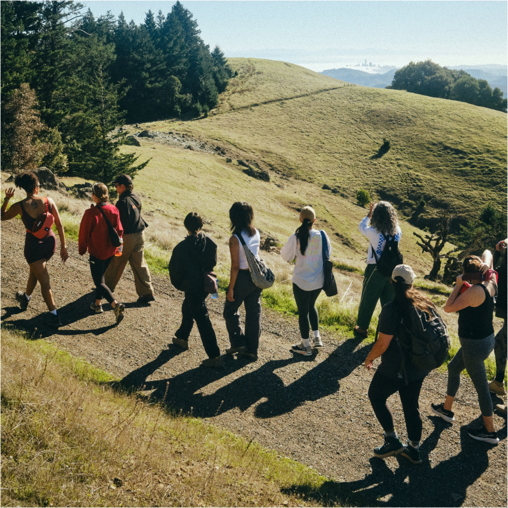 A decorative image from Usal Project