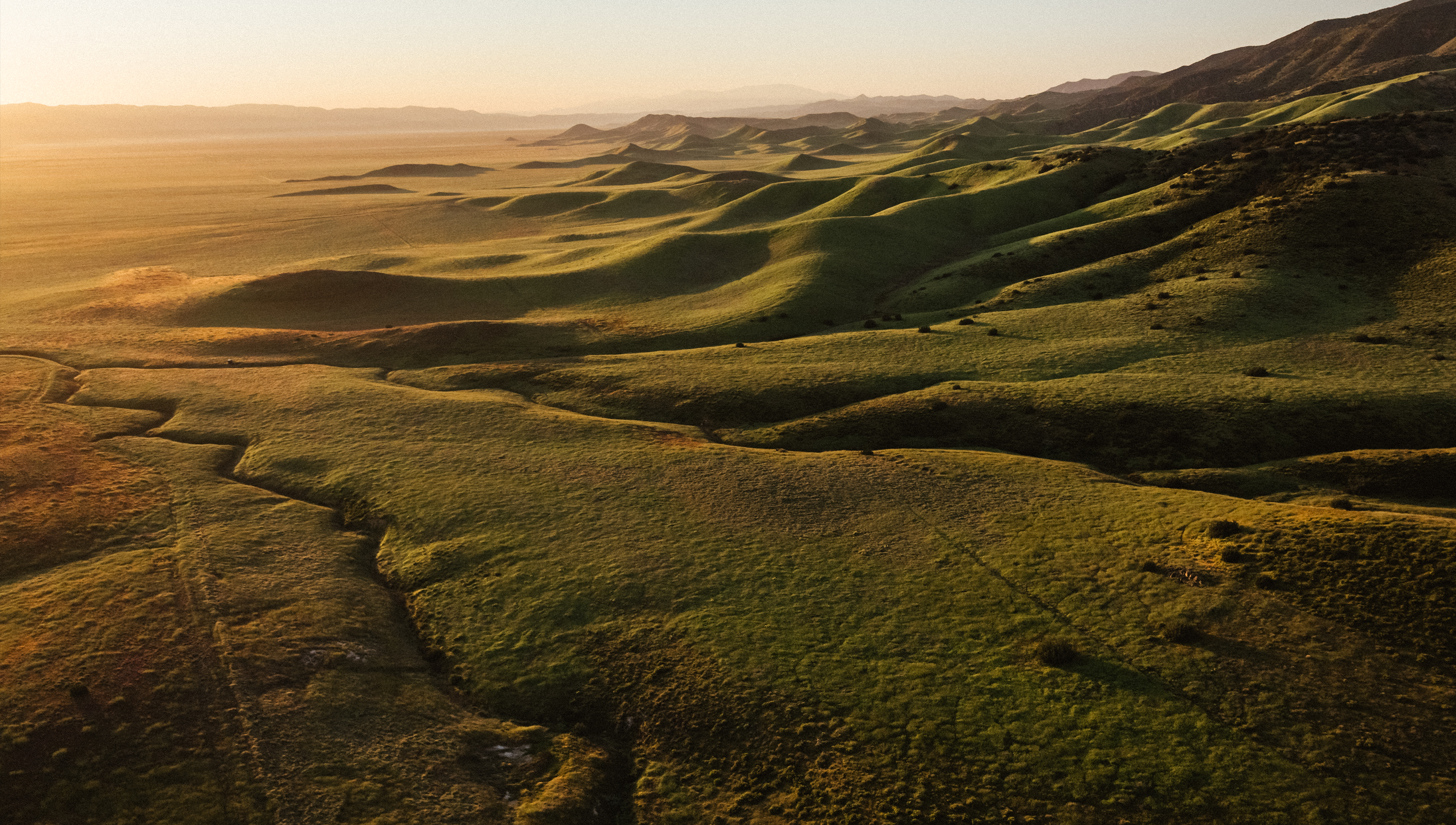 Hero Poster - A decorative image from Usal Project