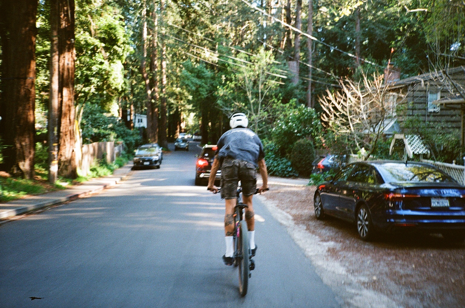 A decorative image from Usal Project