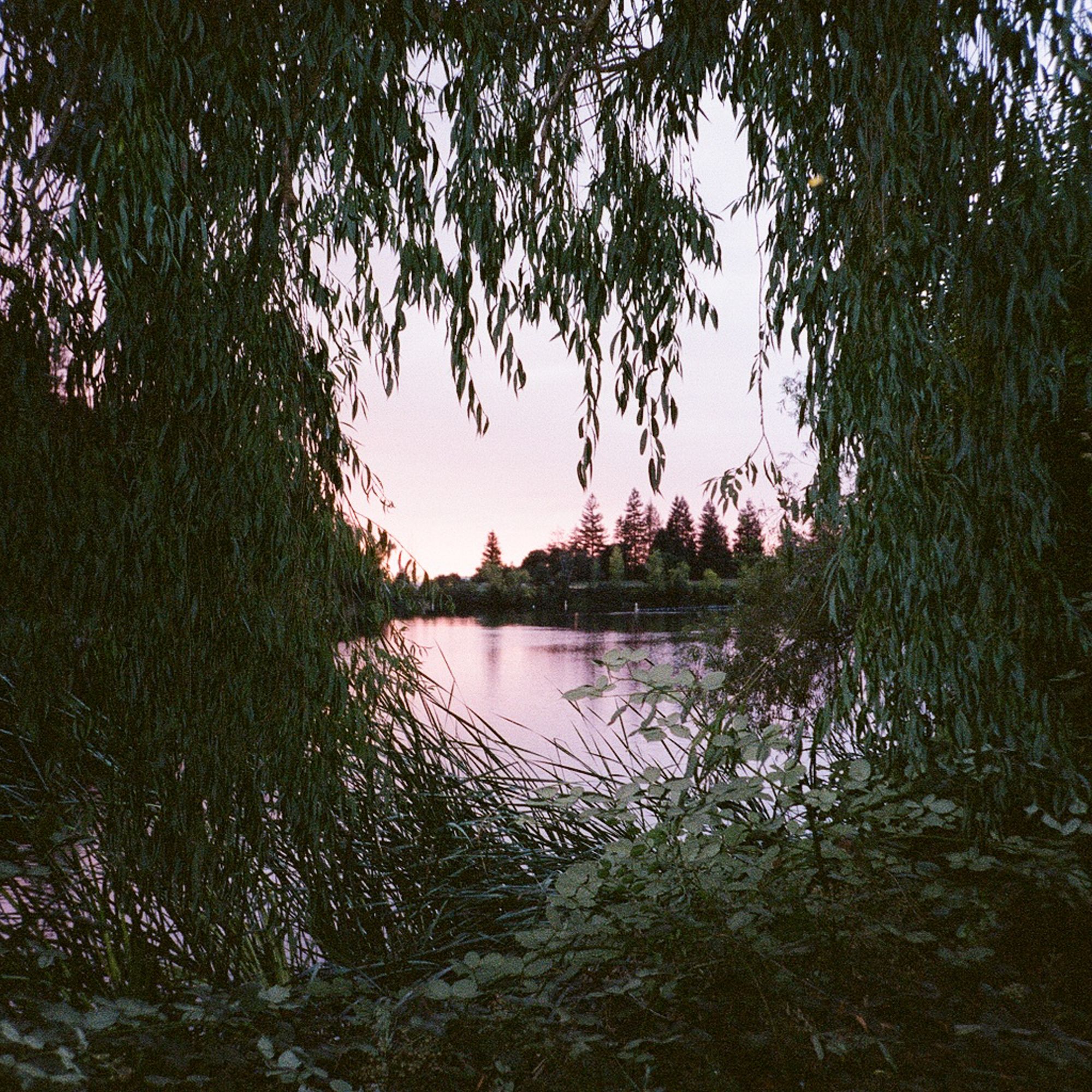 A decorative image from Usal Project