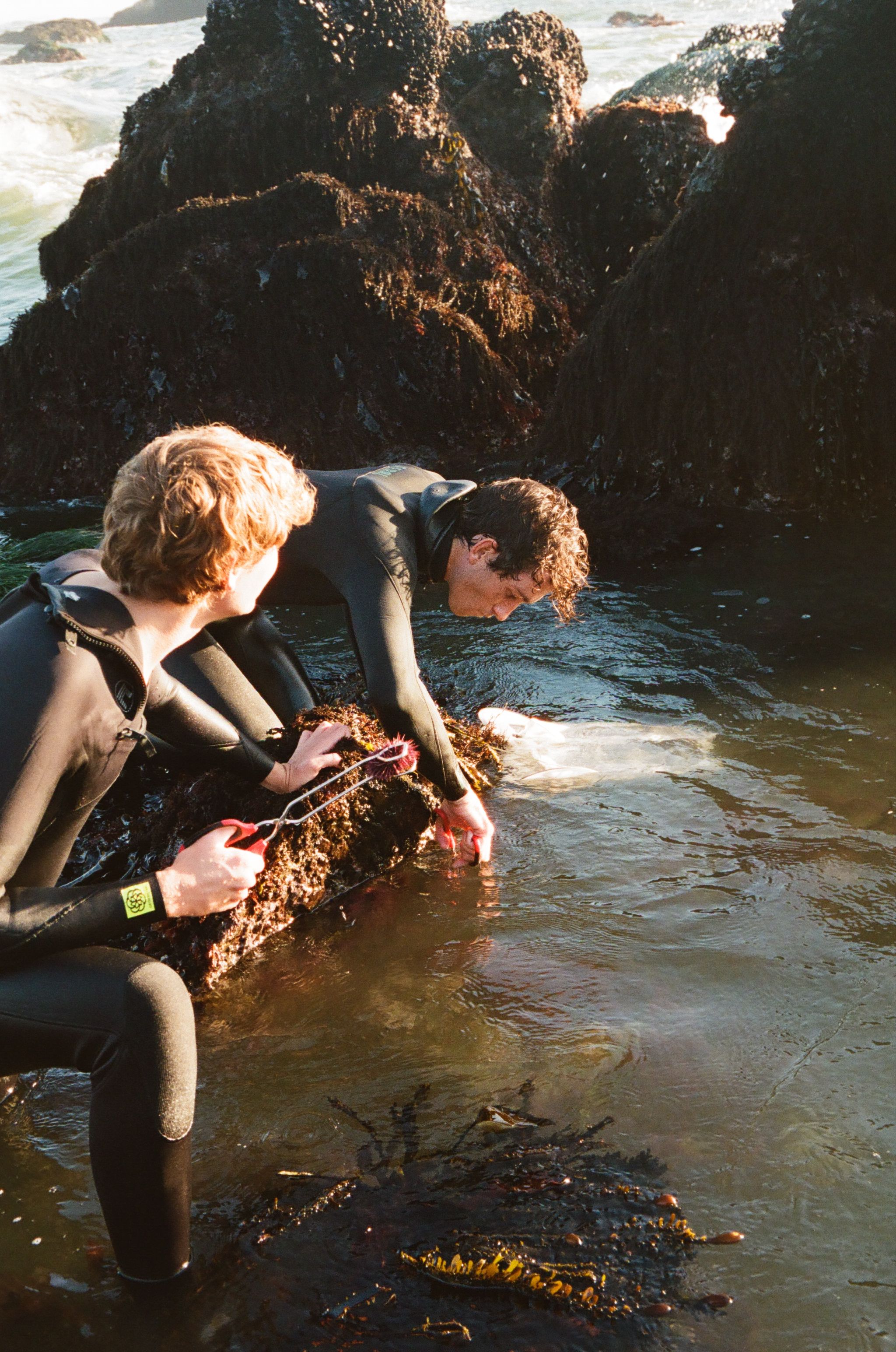 Hero Poster Mobile - A decorative image from Usal Project