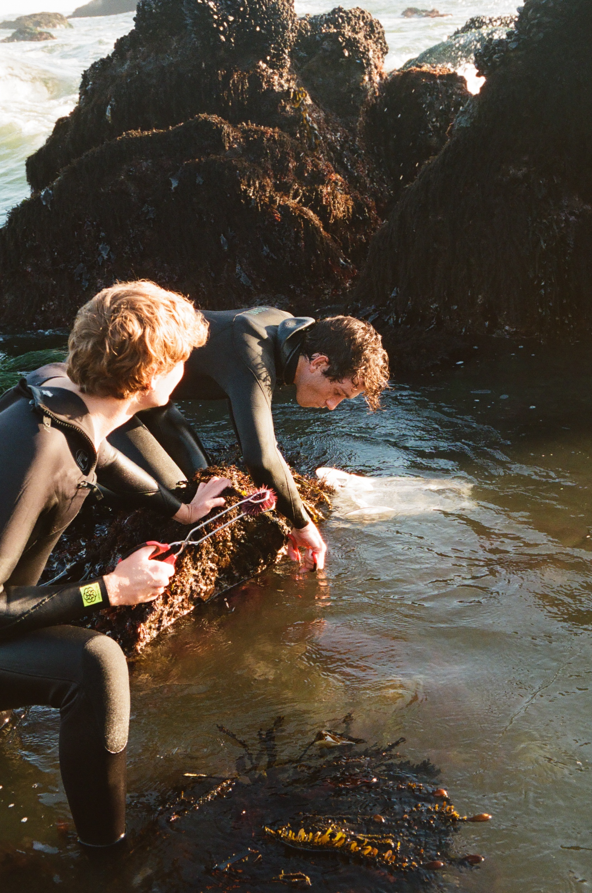 Hero Poster Mobile - A decorative image from Usal Project