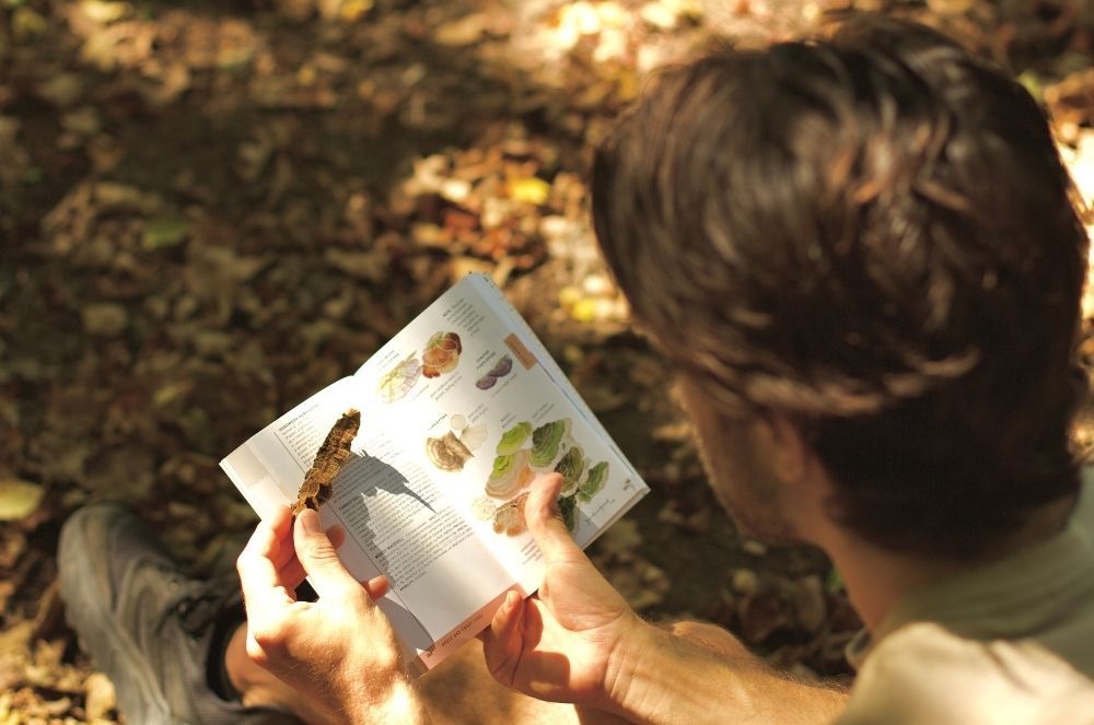 A decorative image from Usal Project