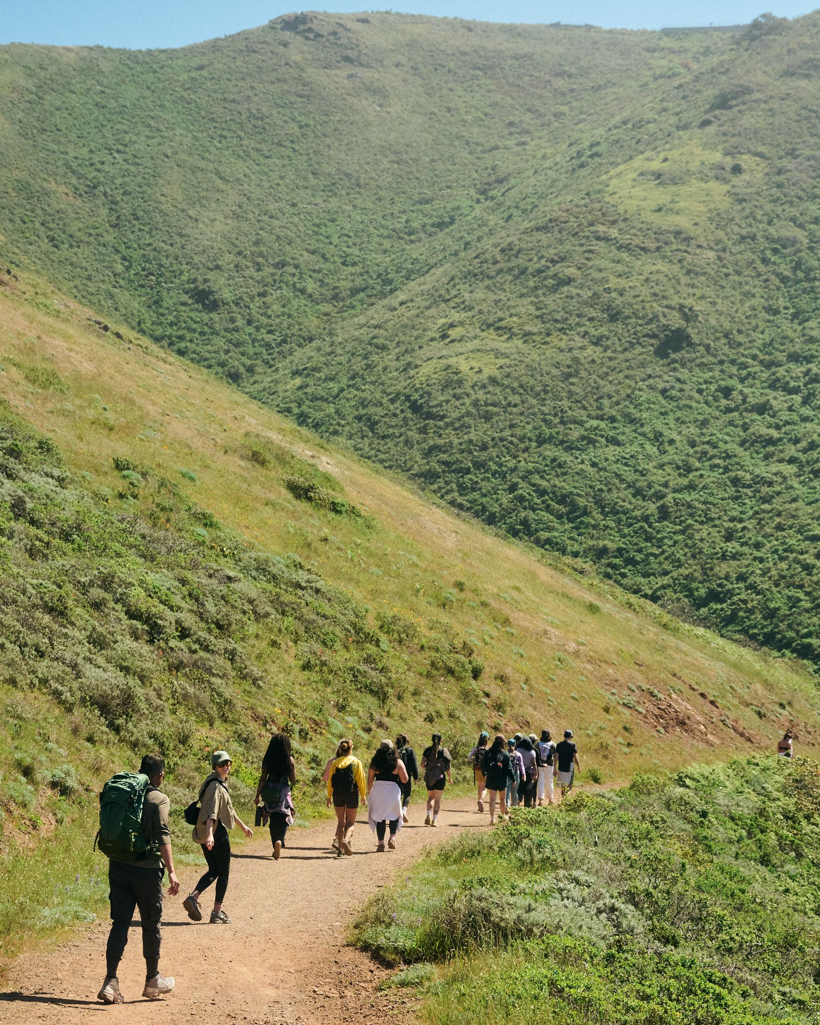 A decorative image from Usal Project