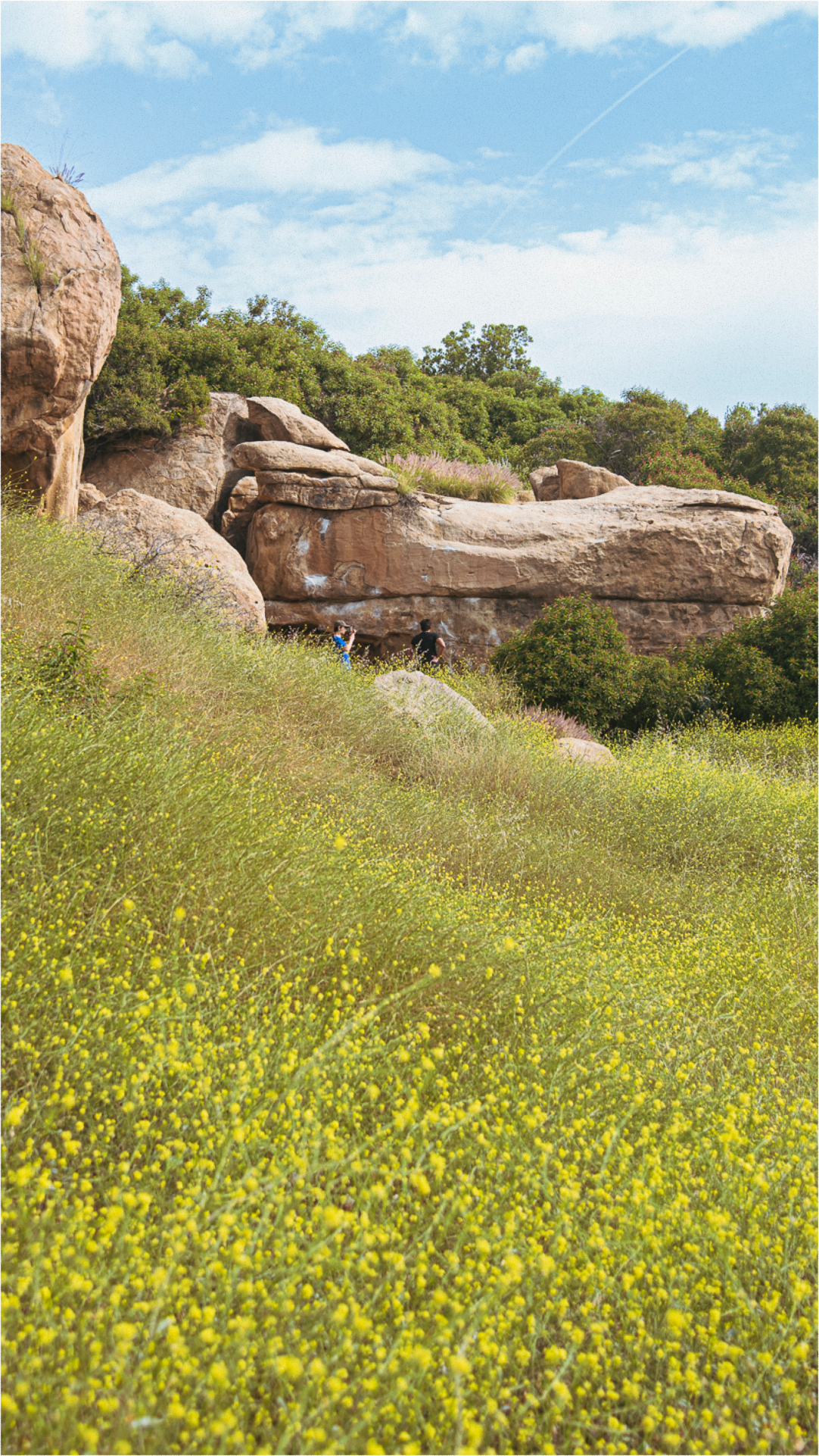 Hero Poster Mobile - A decorative image from Usal Project