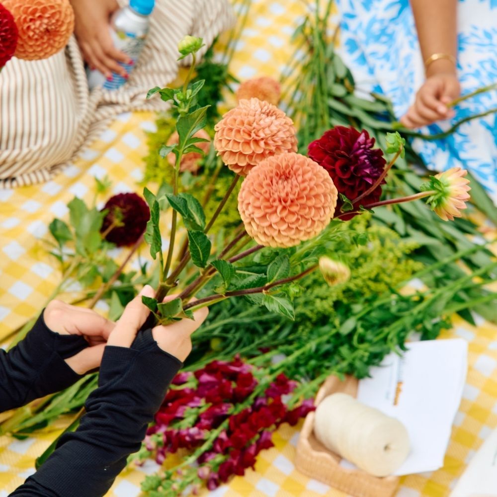 A decorative image from Usal Project