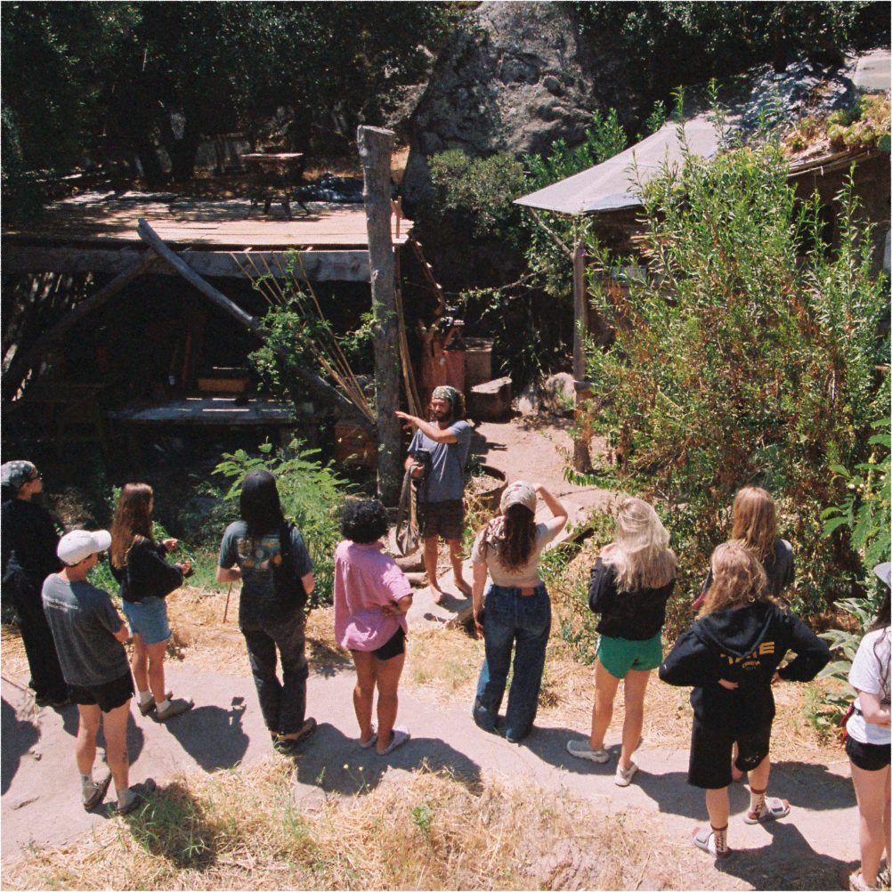 A decorative image from Usal Project