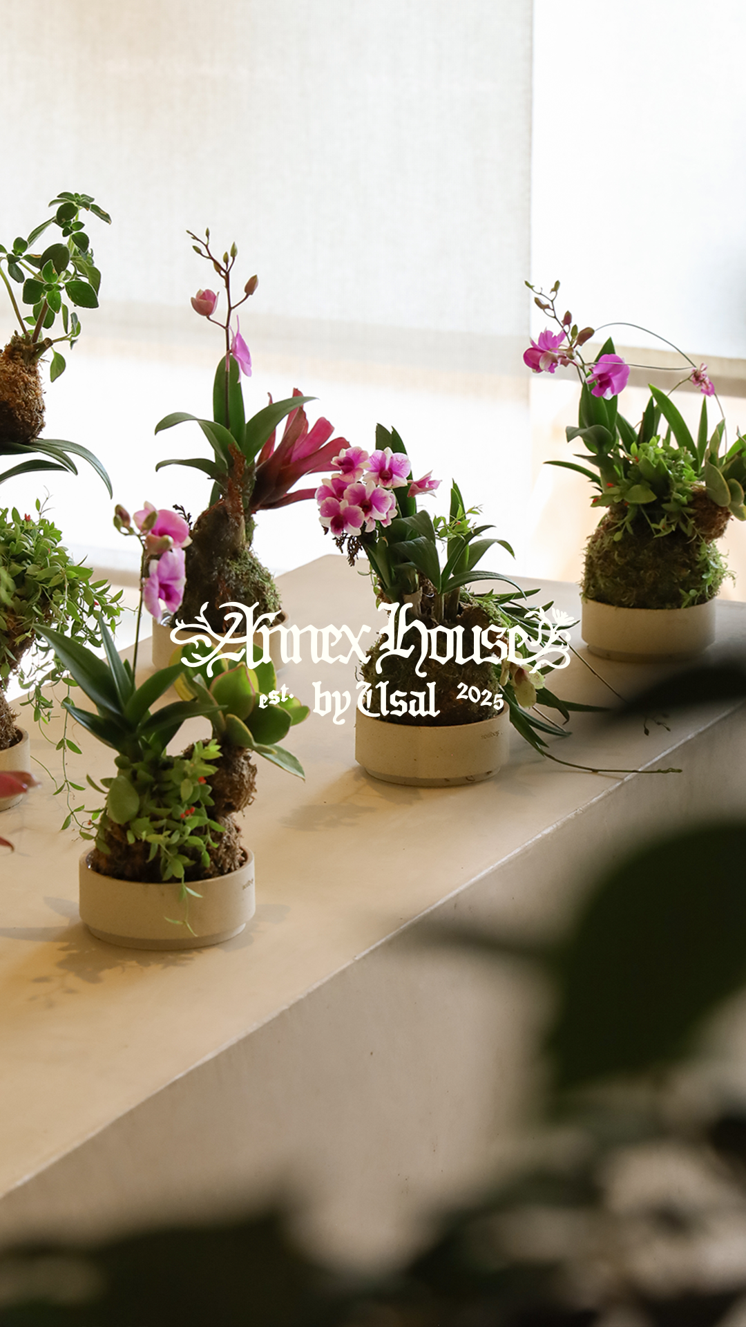 Hero Poster Mobile - A decorative image from Usal Project