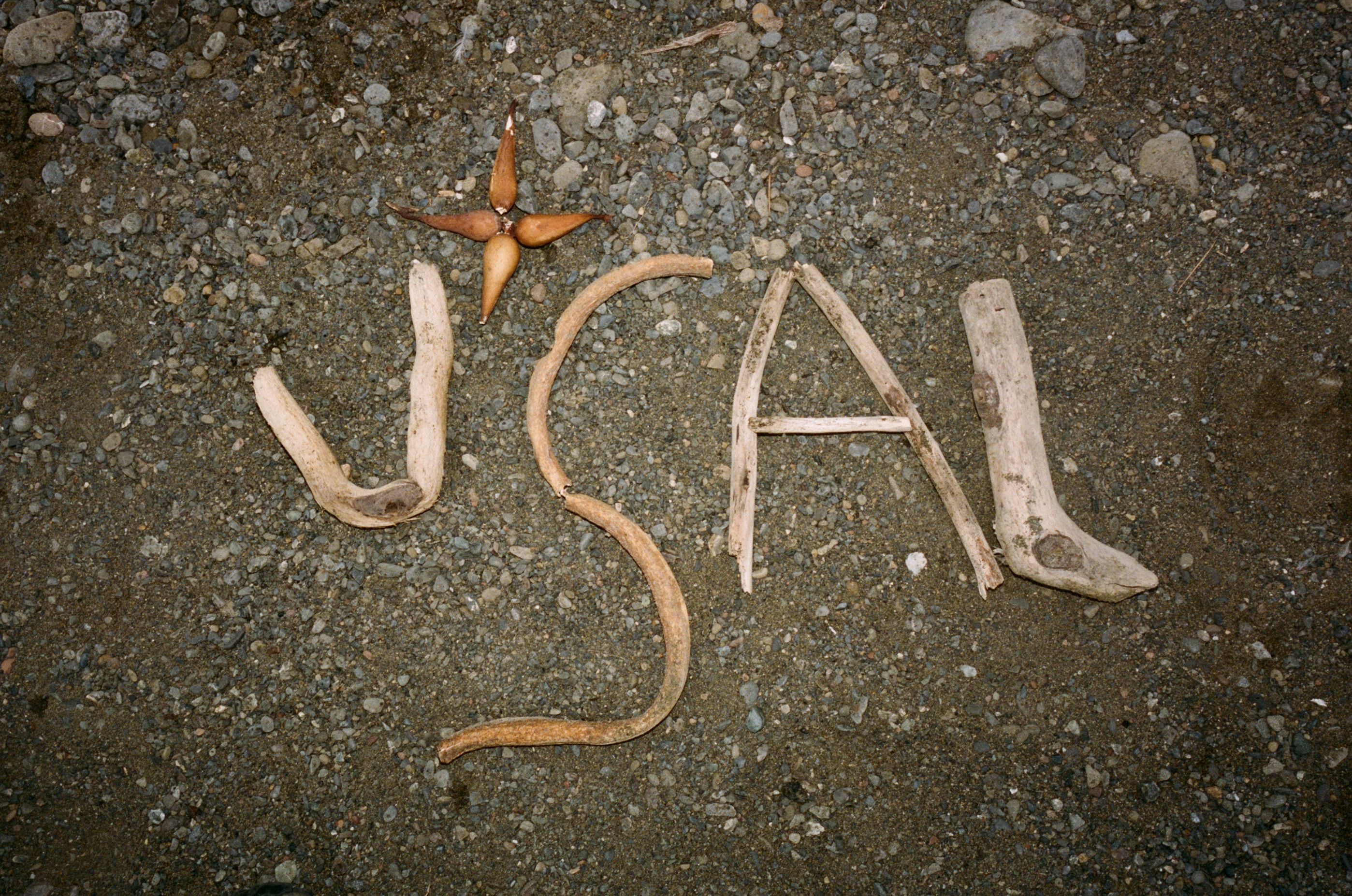 A decorative image from Usal Project