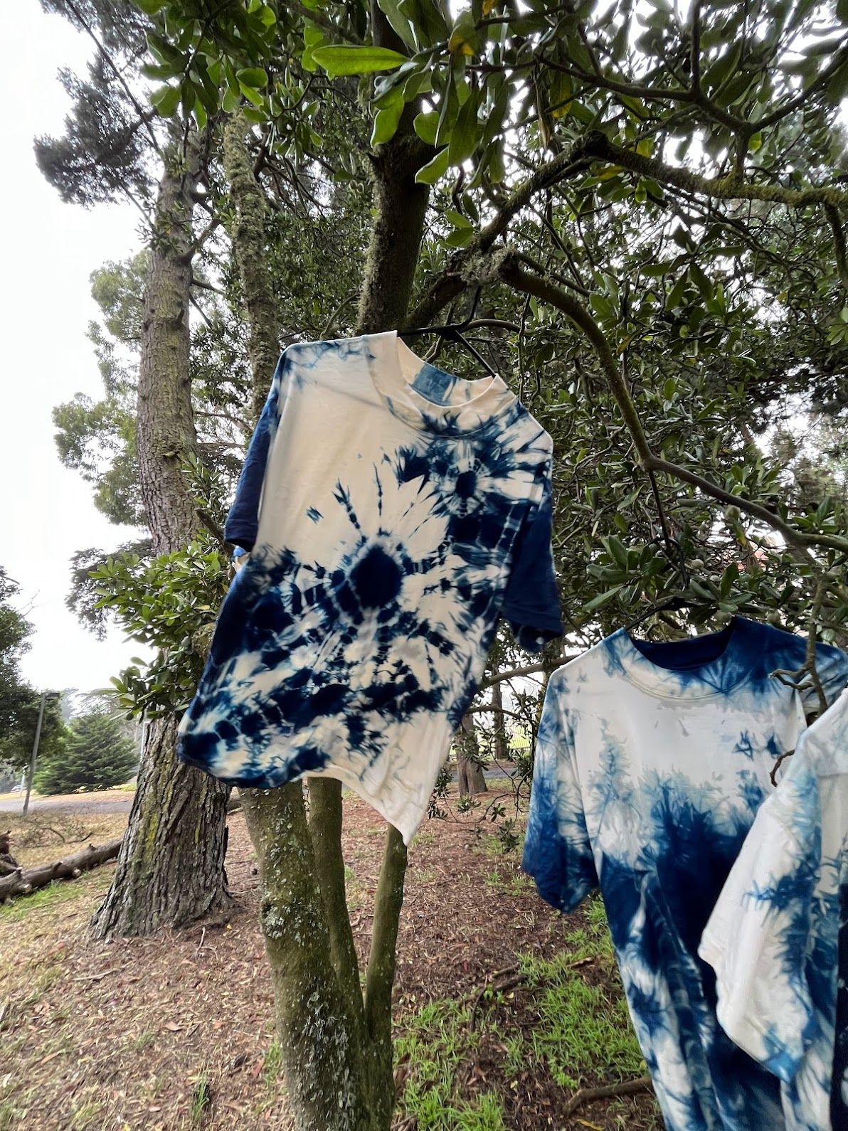 A decorative image from Usal Project