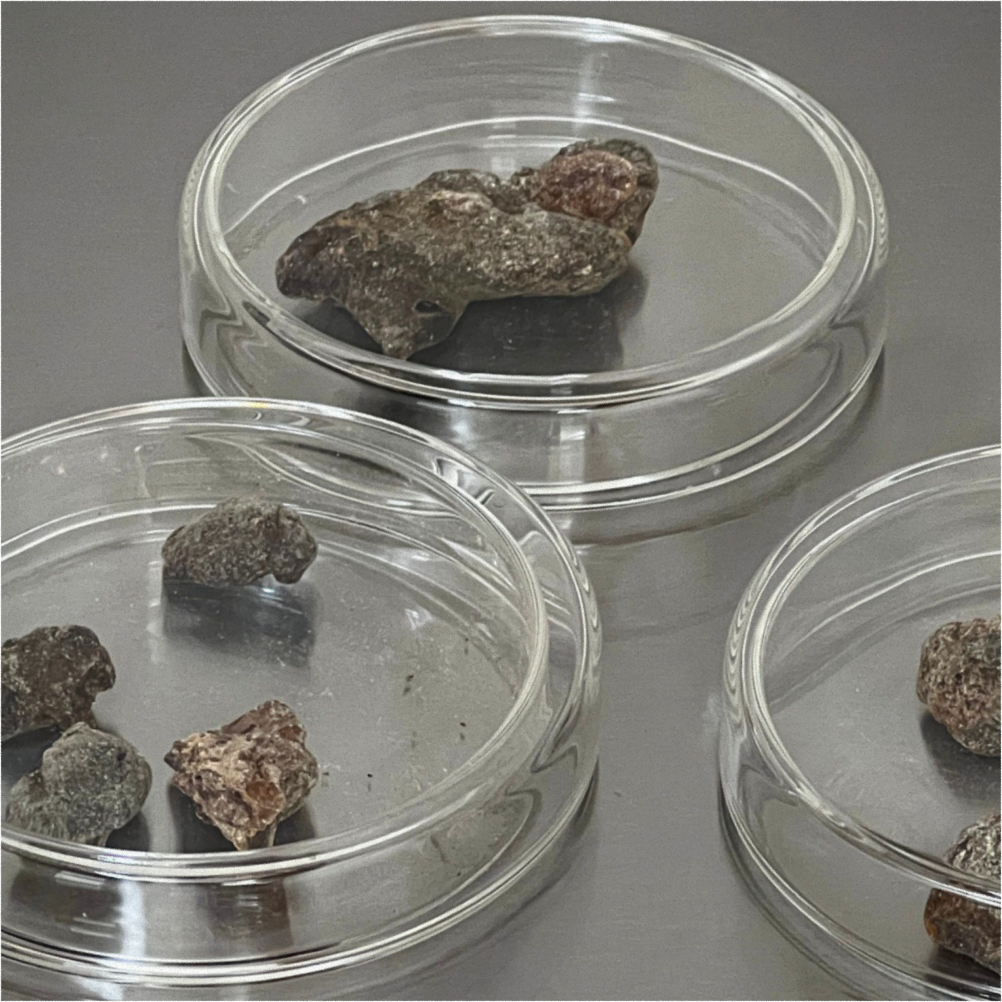 A decorative image from Usal Project