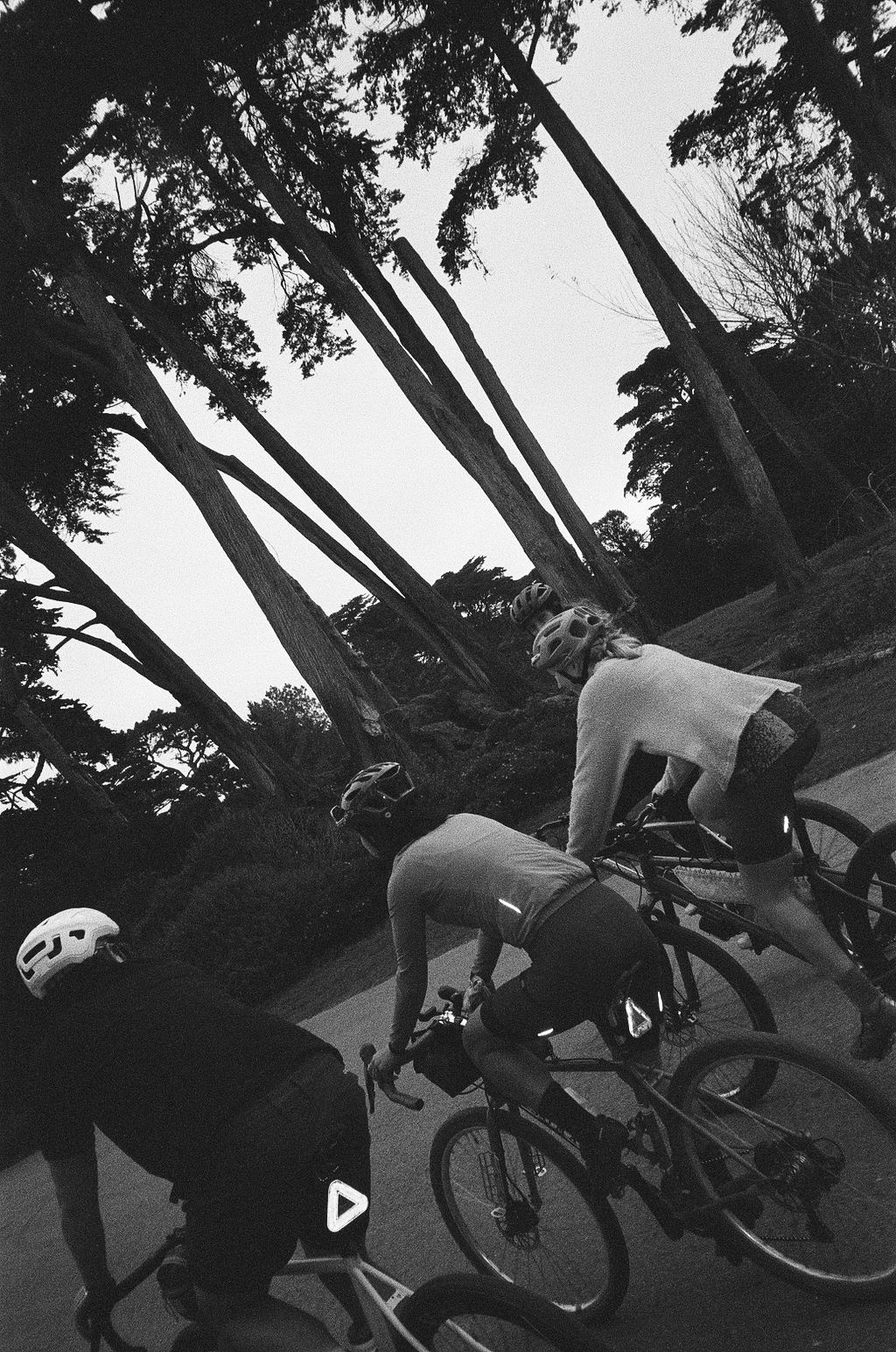 A decorative image from Usal Project