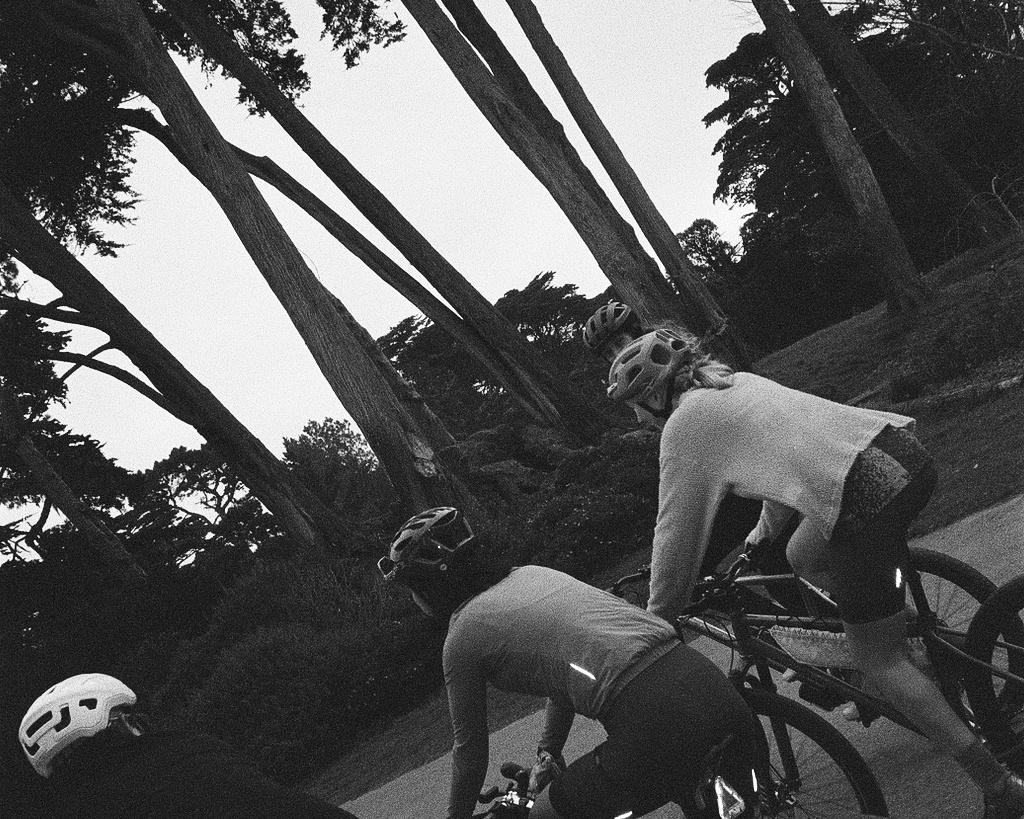 A decorative image from Usal Project