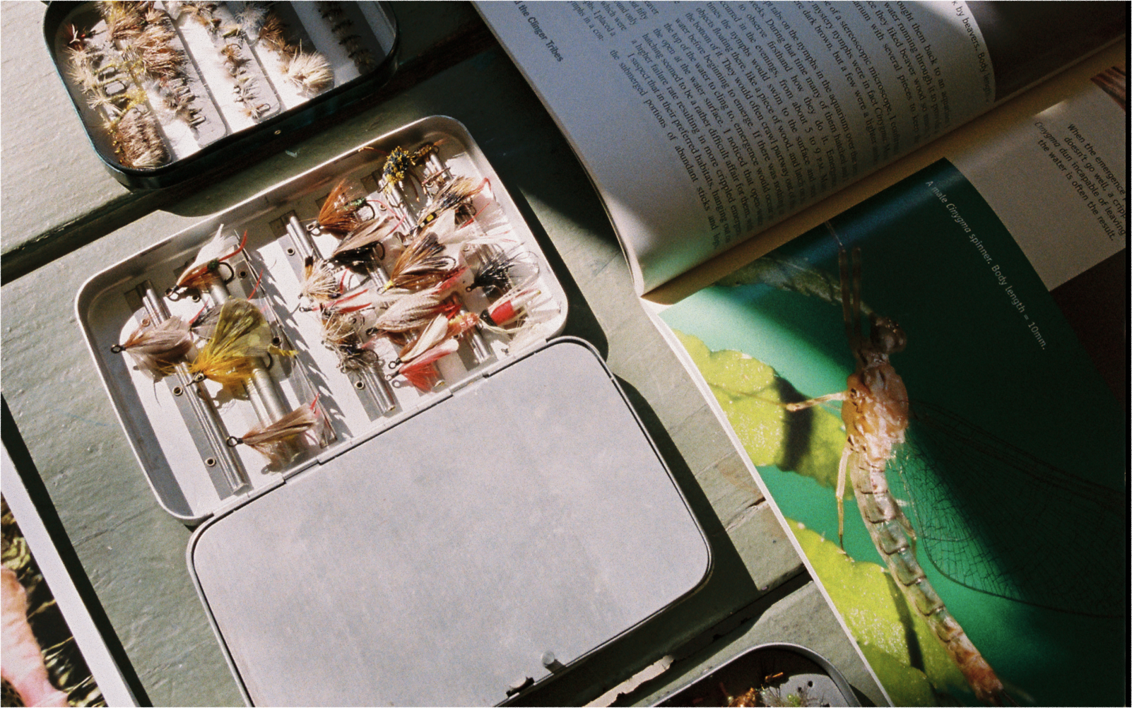 A decorative image from Usal Project