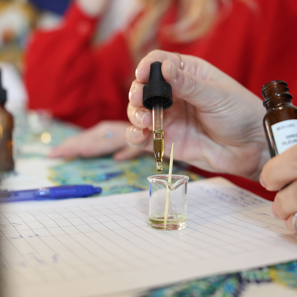 A decorative image from Usal Project