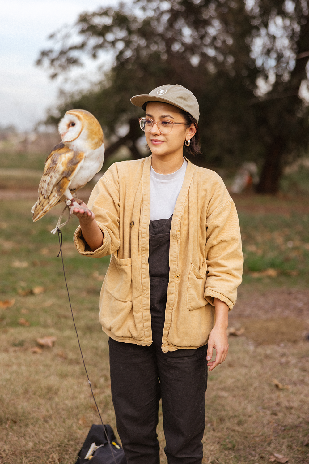 A decorative image from Usal Project