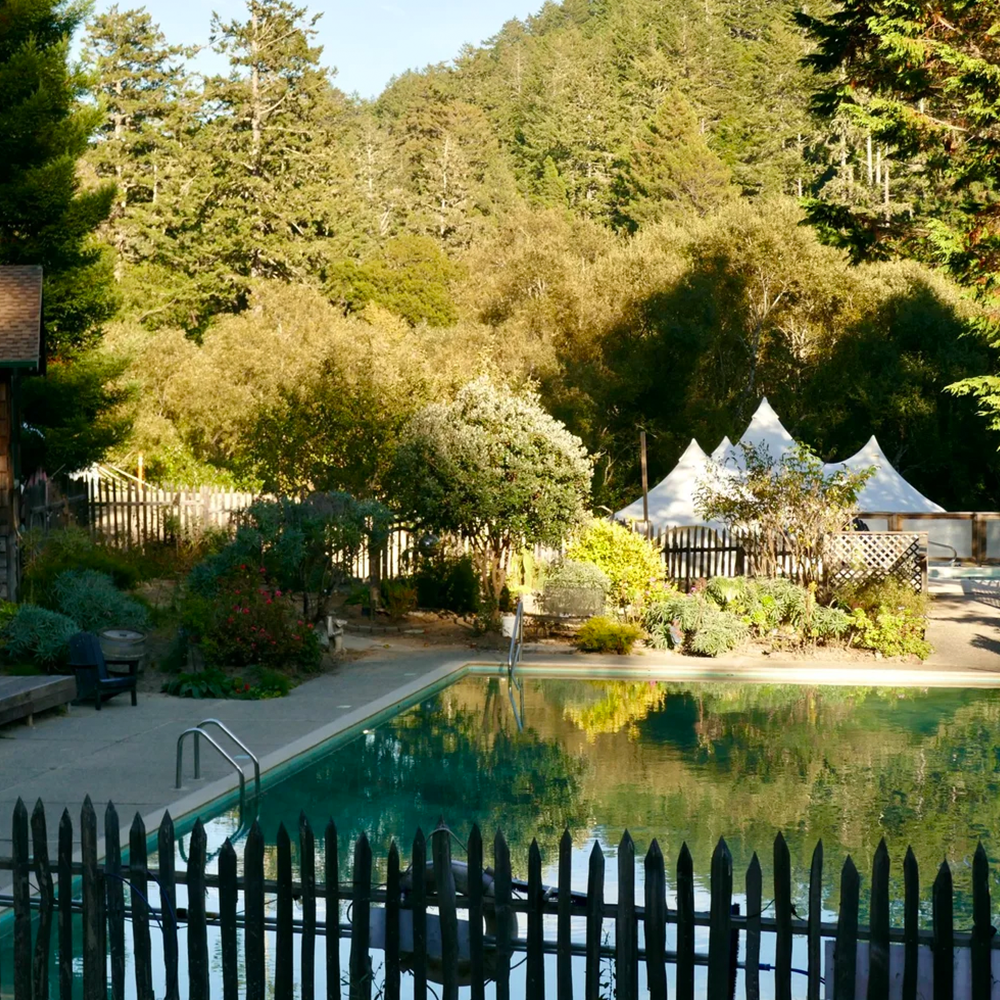 A decorative image from Usal Project