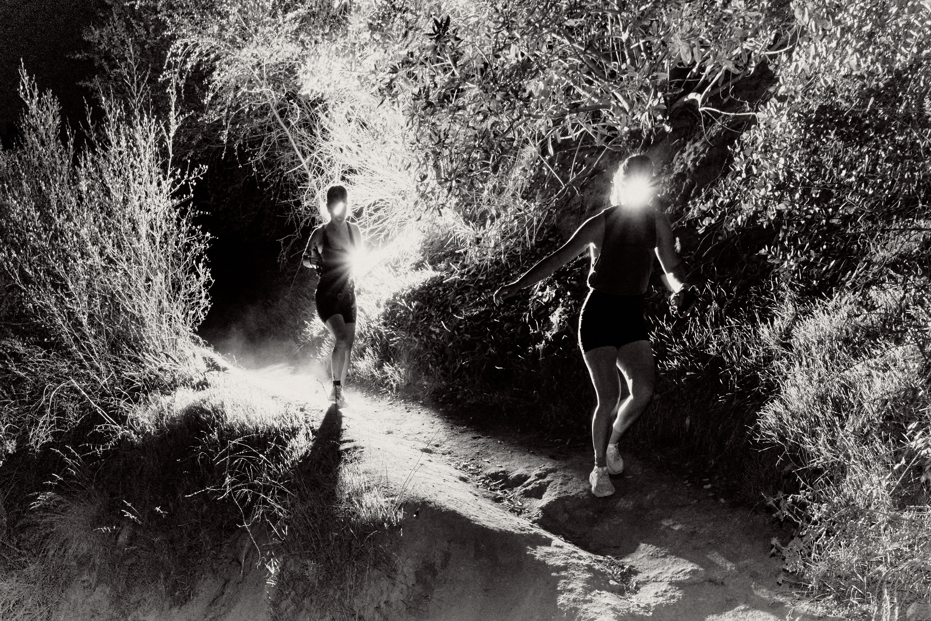 A decorative image from Usal Project