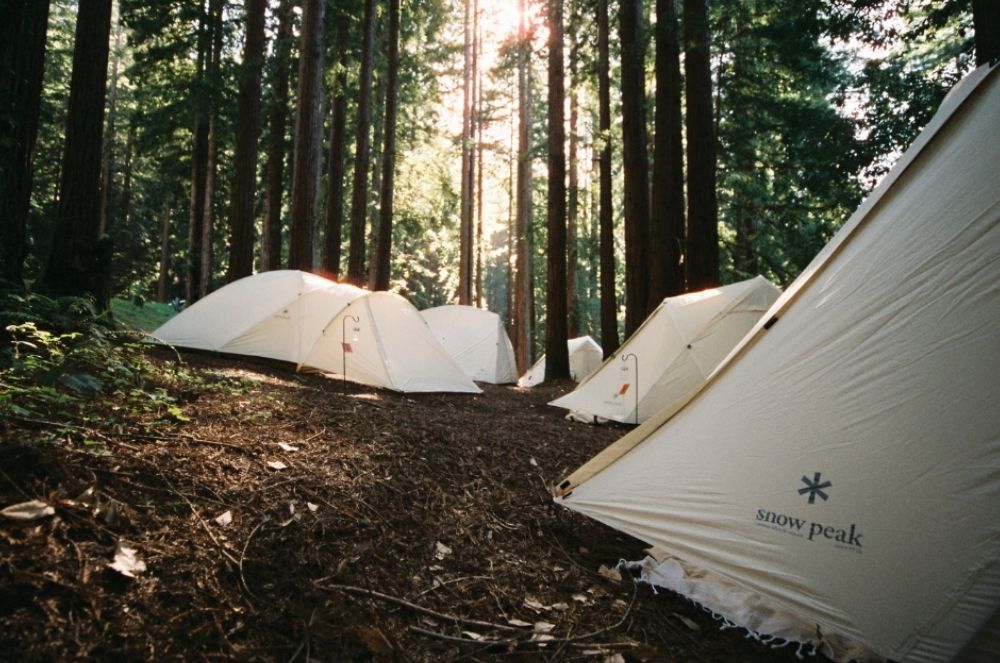 A decorative image from Usal Project