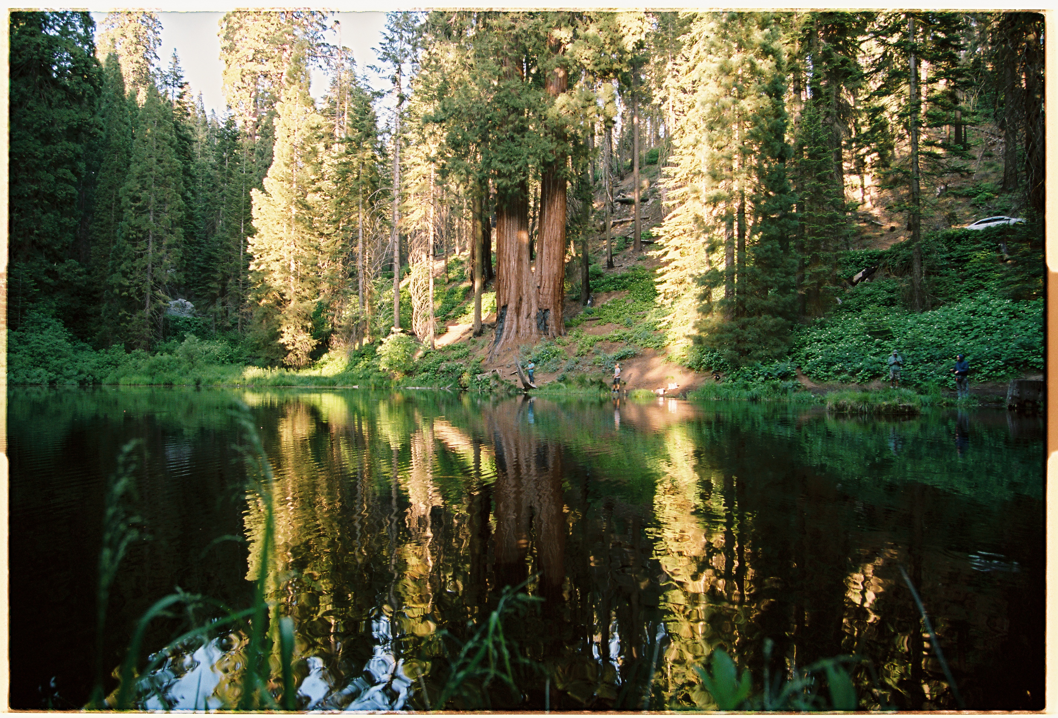 A decorative image from Usal Project